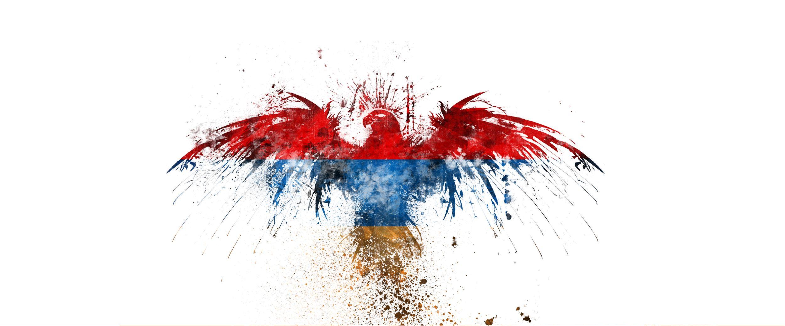2500x1038 Eagle Flag Wallpaper 2500x1038