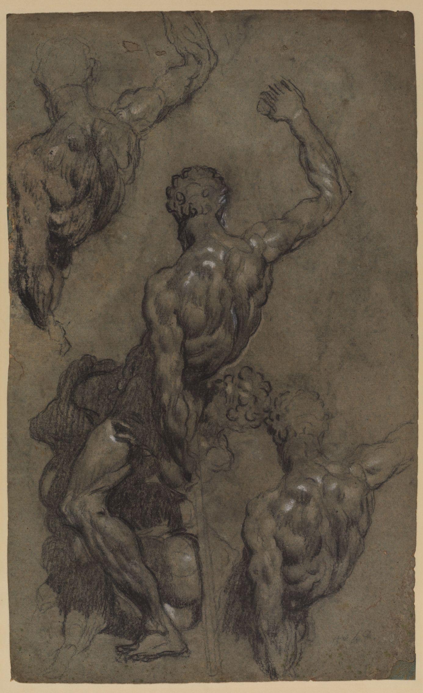 1386x2272 Tintoretto Drawing