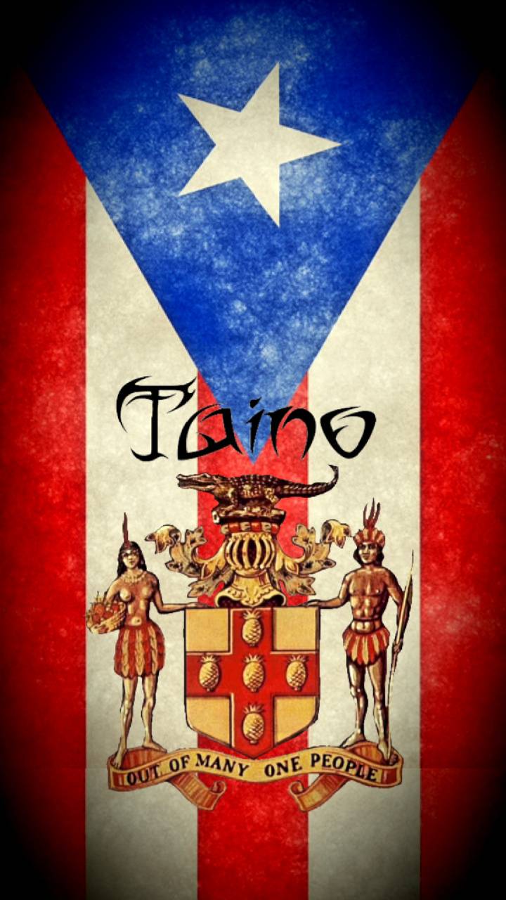 720x1280 Puerto Rican Flag Wallpaper