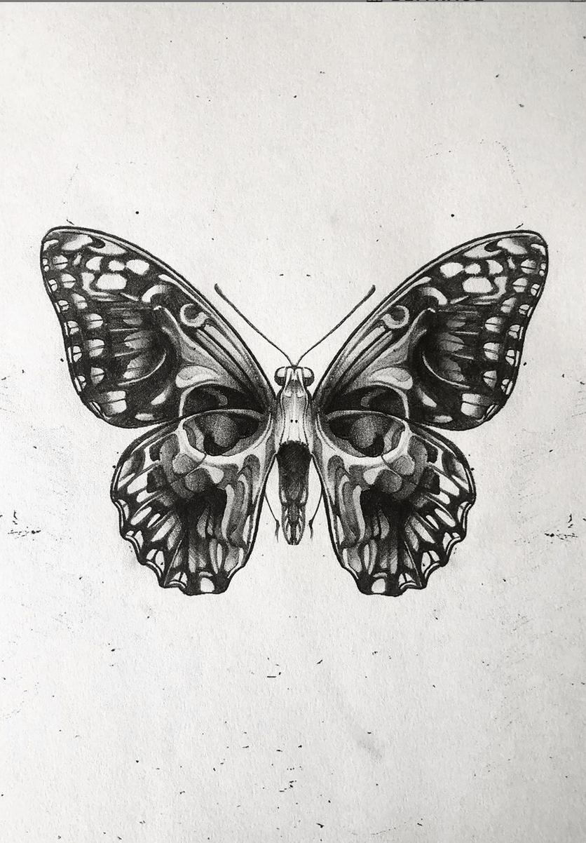 Skulls and Butterflies Wallpapers - Top Free Skulls and Butterflies