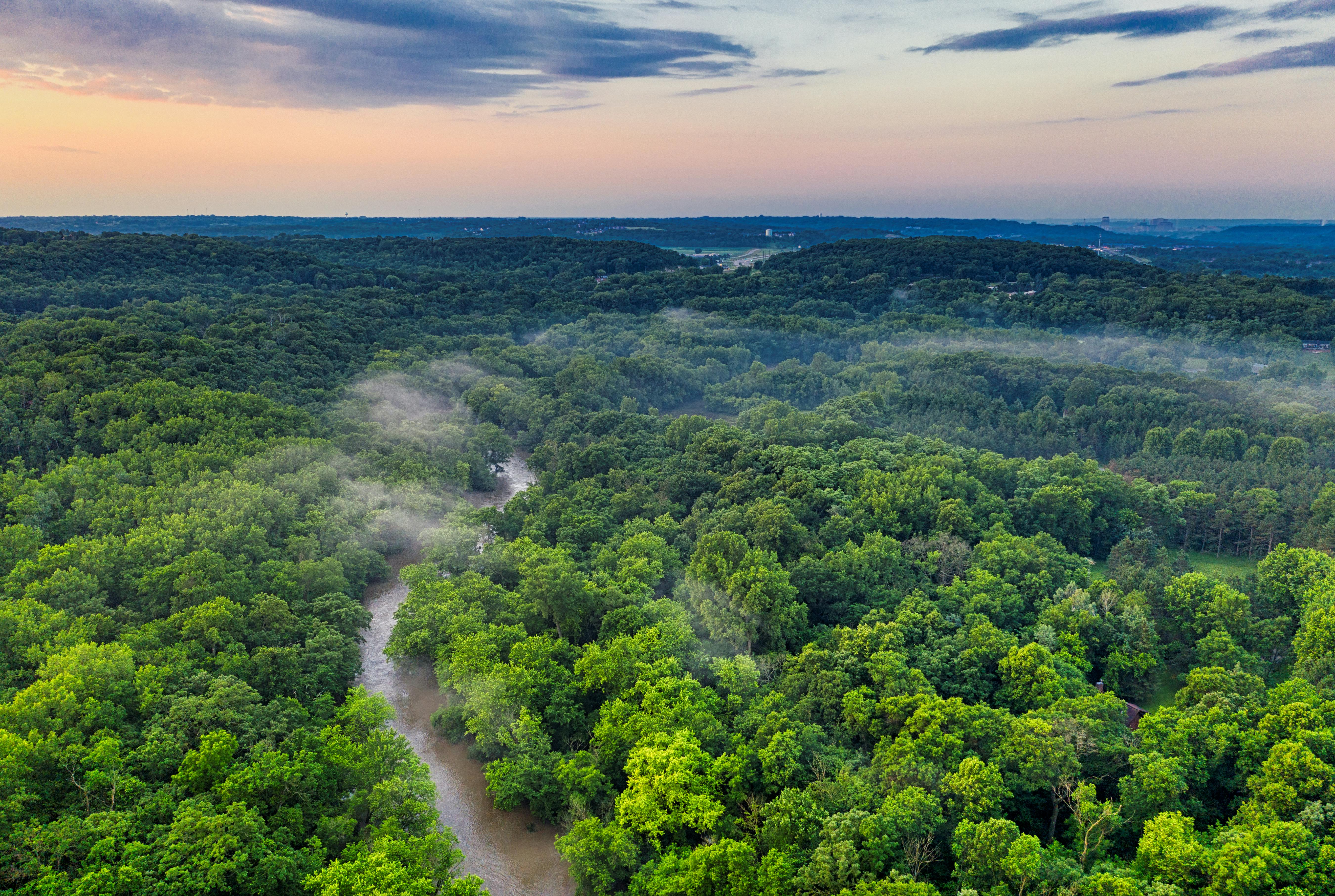 5401x3627 Amazon Forest 4k Wallpaper