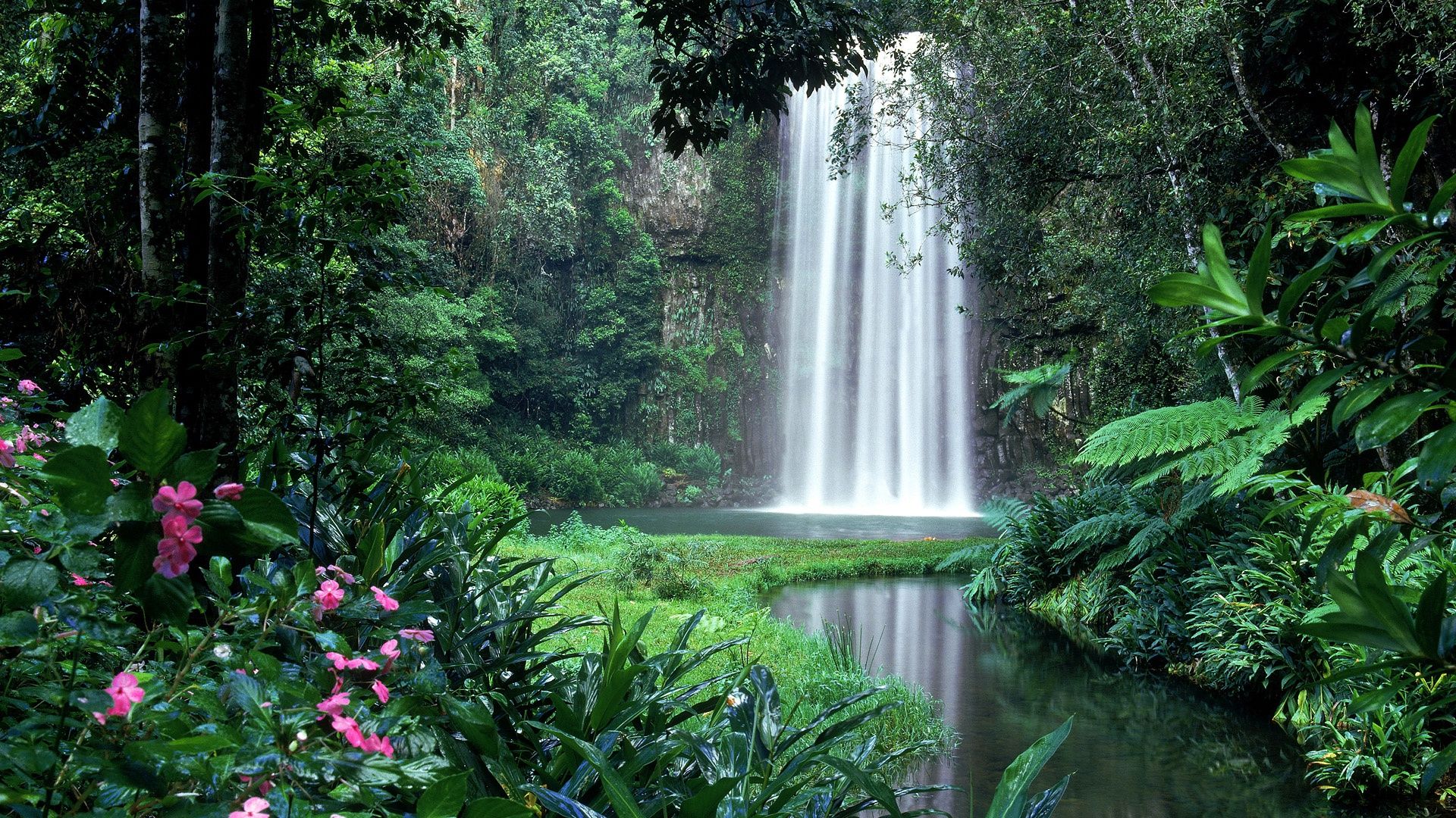 1920x1080 Desktop wallpaper: Amazon, Jungle, Earth, Waterfall, Bush, Thicket, Waterfalls 4K free download for PC. 494004