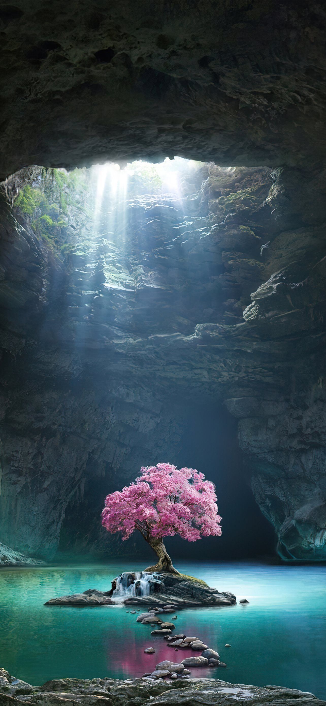 1284x2778 amazon river iPhone Wallpaper Free Download