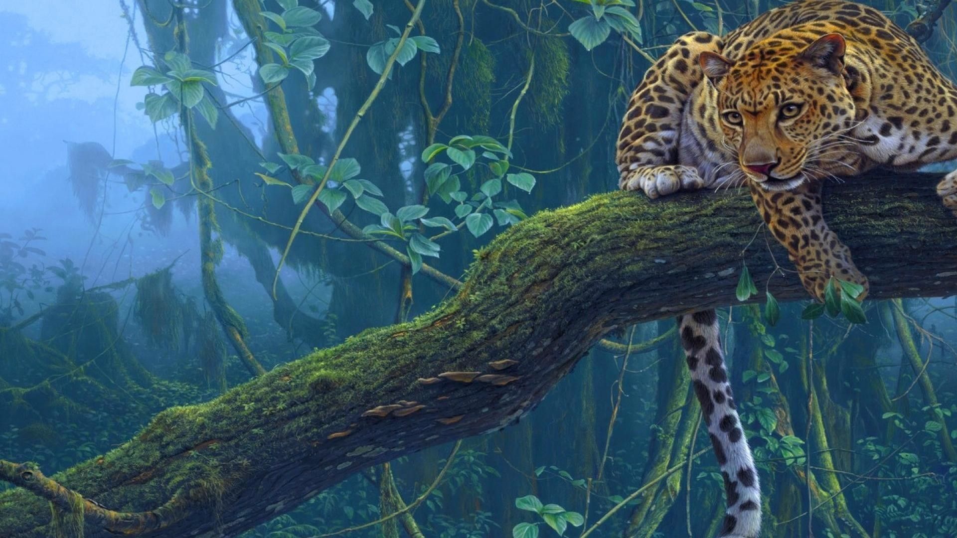 1920x1080 Amazon Rainforest Wallpaper