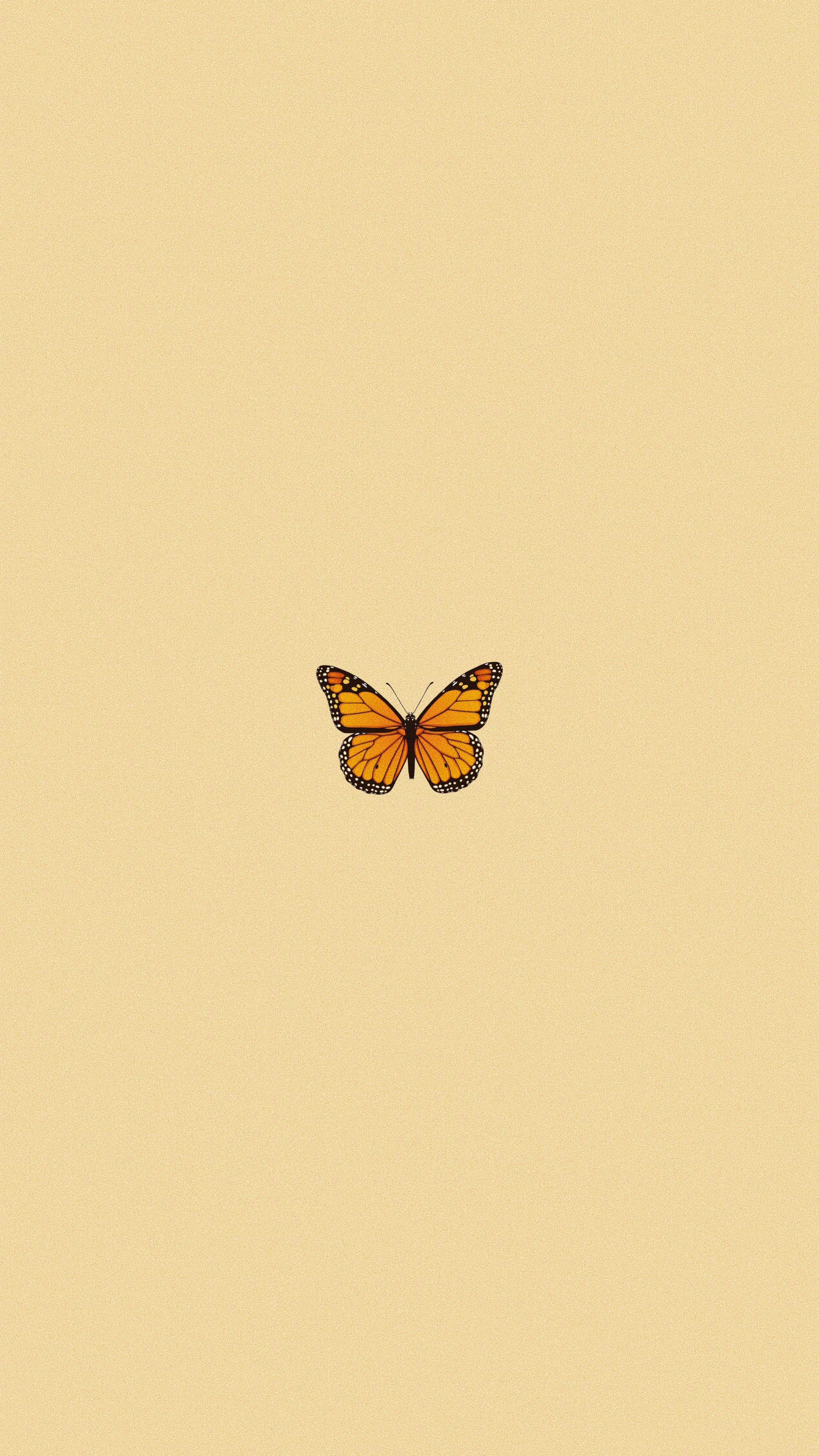 3072x5460 Vsco Aesthetic Wallpaper Butterfly / Tons of awesome aesthetic desktop vsco wallpaper to download for free