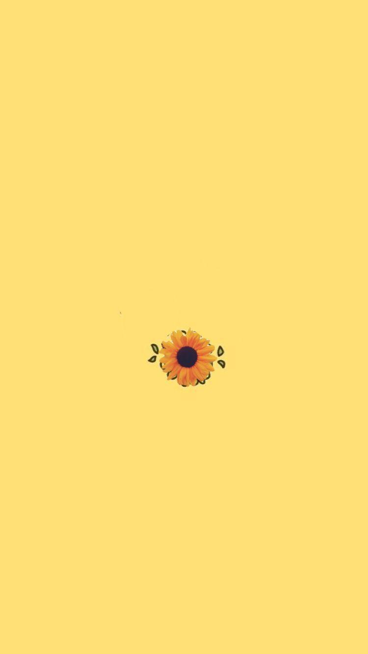 750x1332 Aesthetic Background Yellow