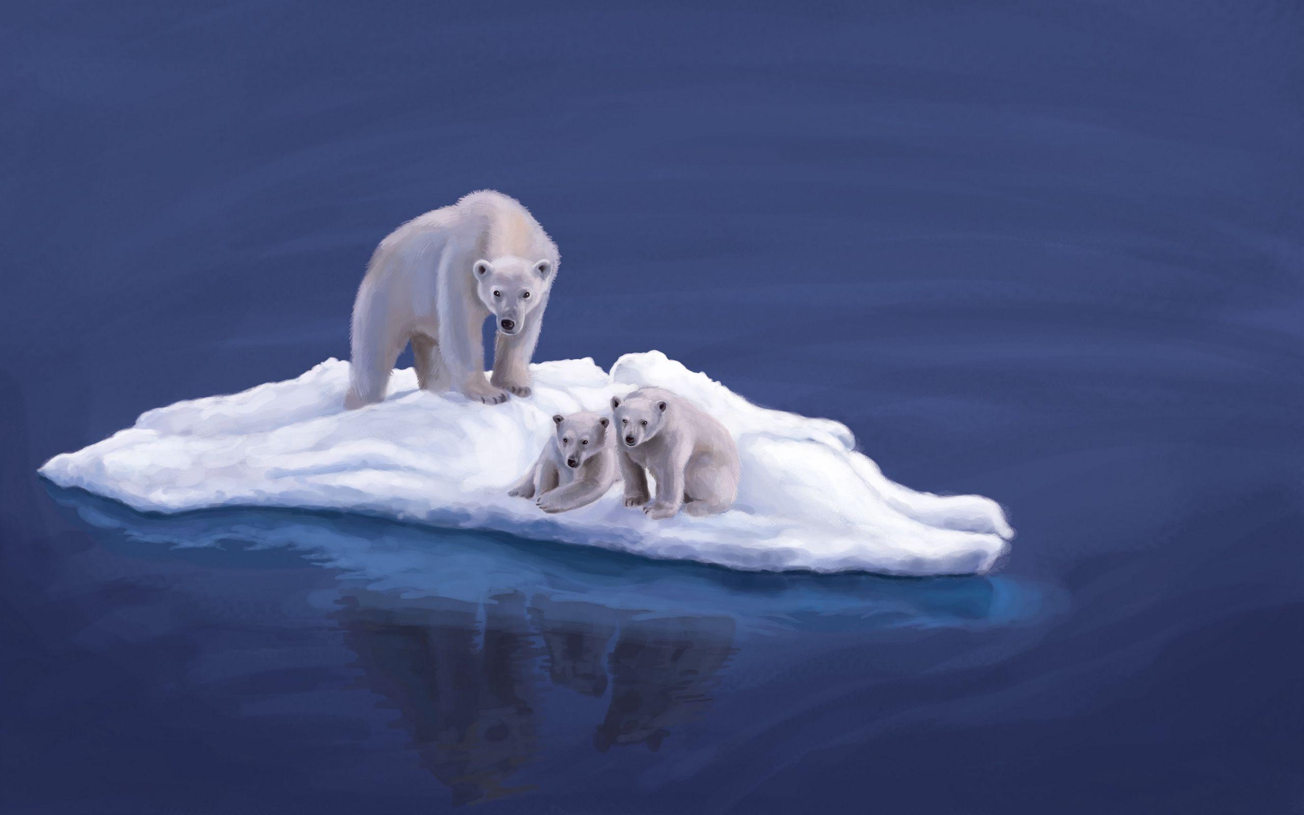 2560x1600 Download wallpaper 2560x1600 polar bears, drawing, island widescreen 16:10 HD background