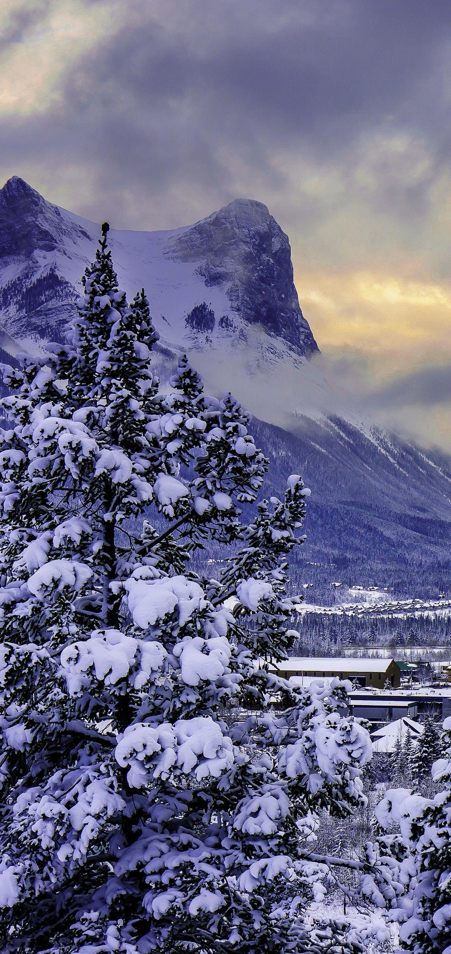 1440x3040 S10 Plus Winter Wallpaper