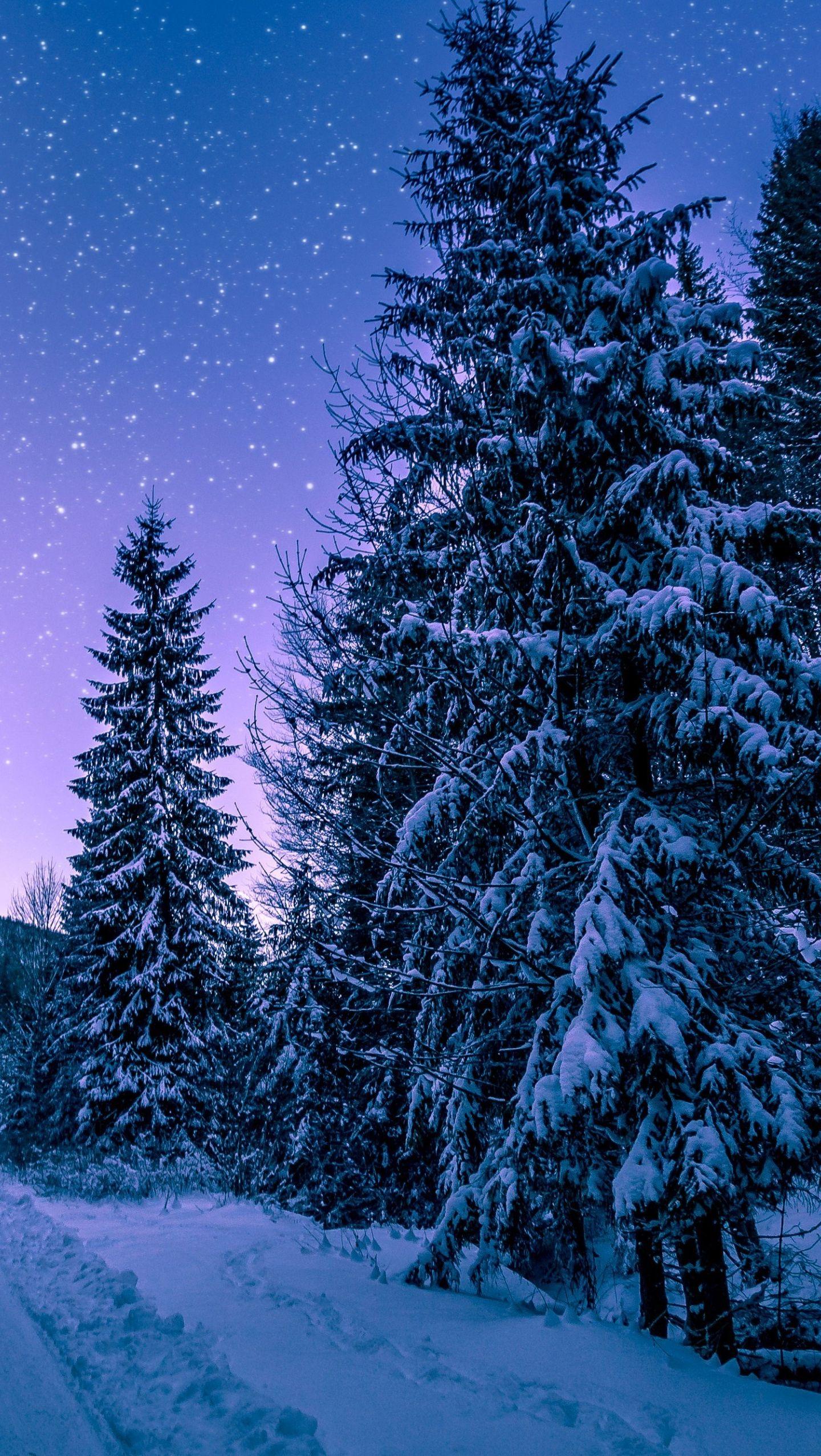 1440x2553 Winter Wallpaper Samsung Galaxy