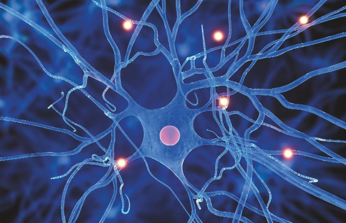1148x739 What is Brain Health? for BrainHealth