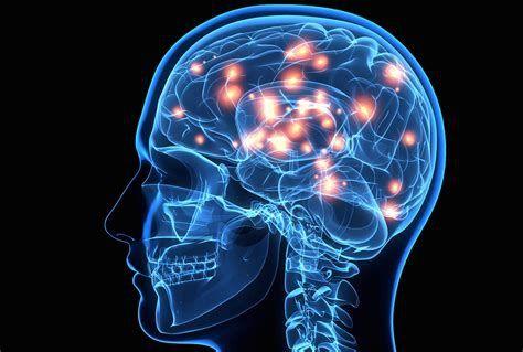 474x319 Cool Brain Wallpaper .