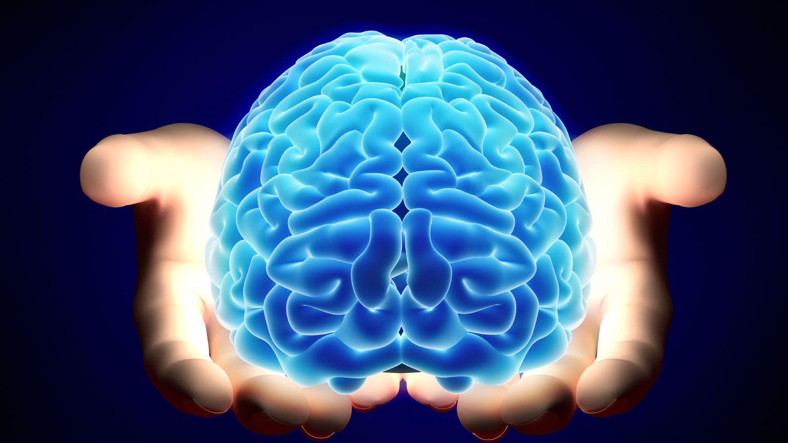 1595x897 Brain wallpaper, Artistic, HQ Brain pictureK Wallpaper 2019