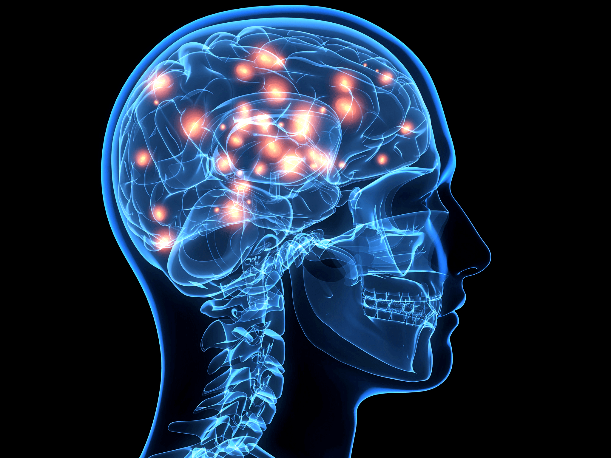 2048x1536 Big Brain Wallpaper
