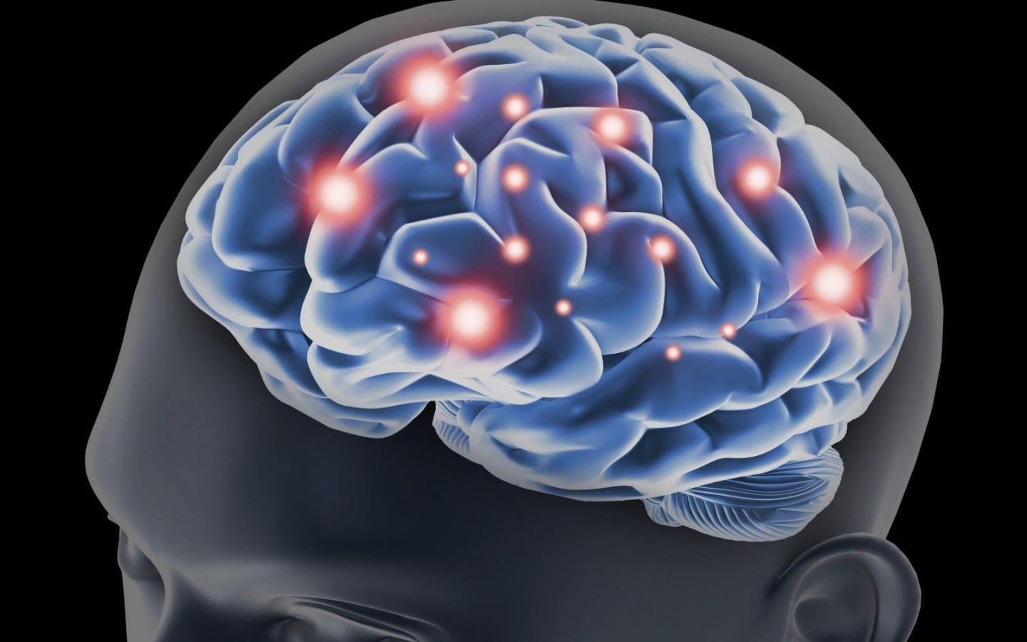 Brain Blue Wallpapers - Top Free Brain Blue Backgrounds - WallpaperAccess