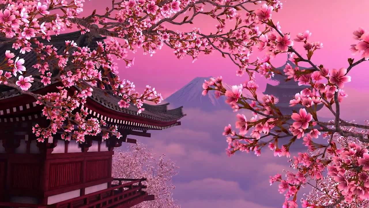 1280x720 Sakura Tree