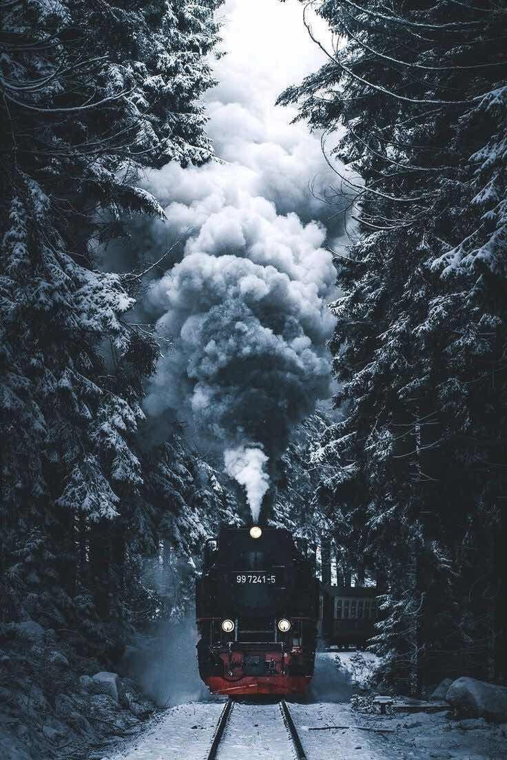 736x1104 Winter Train Phone Wallpaper