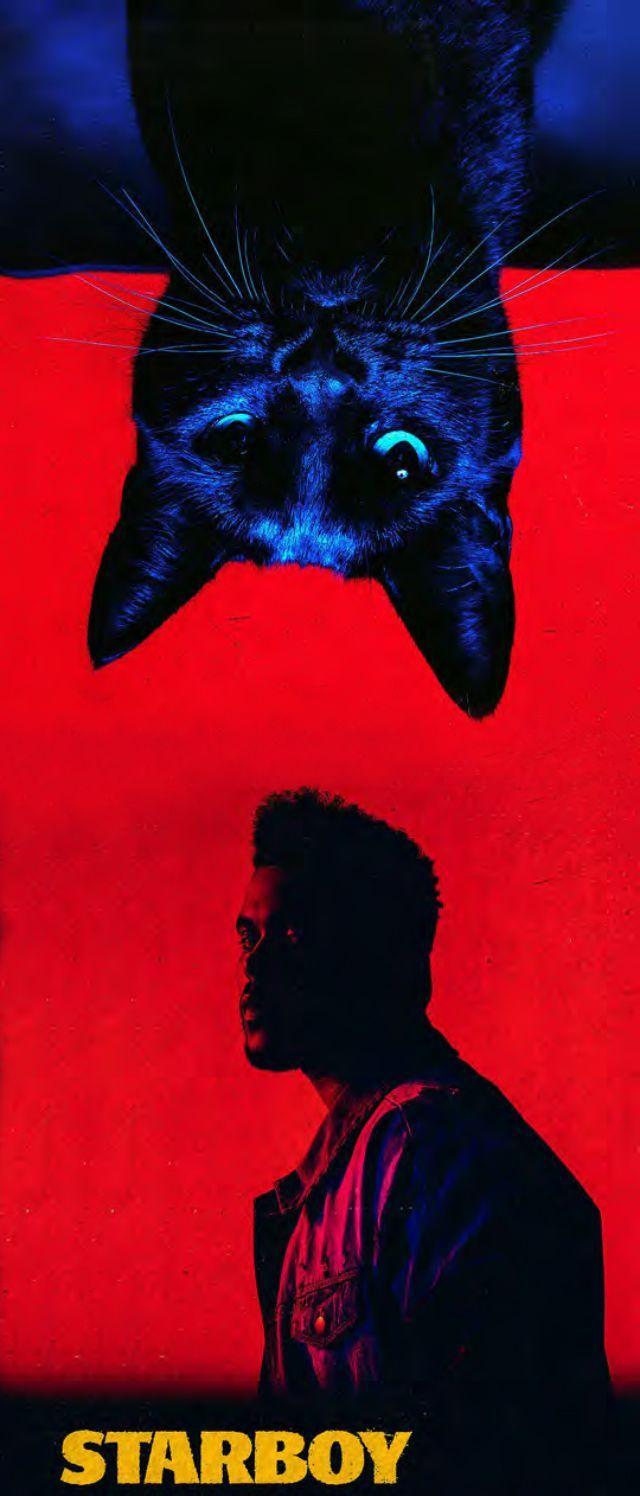 640x1496 best xo image. The weeknd, iPhone background
