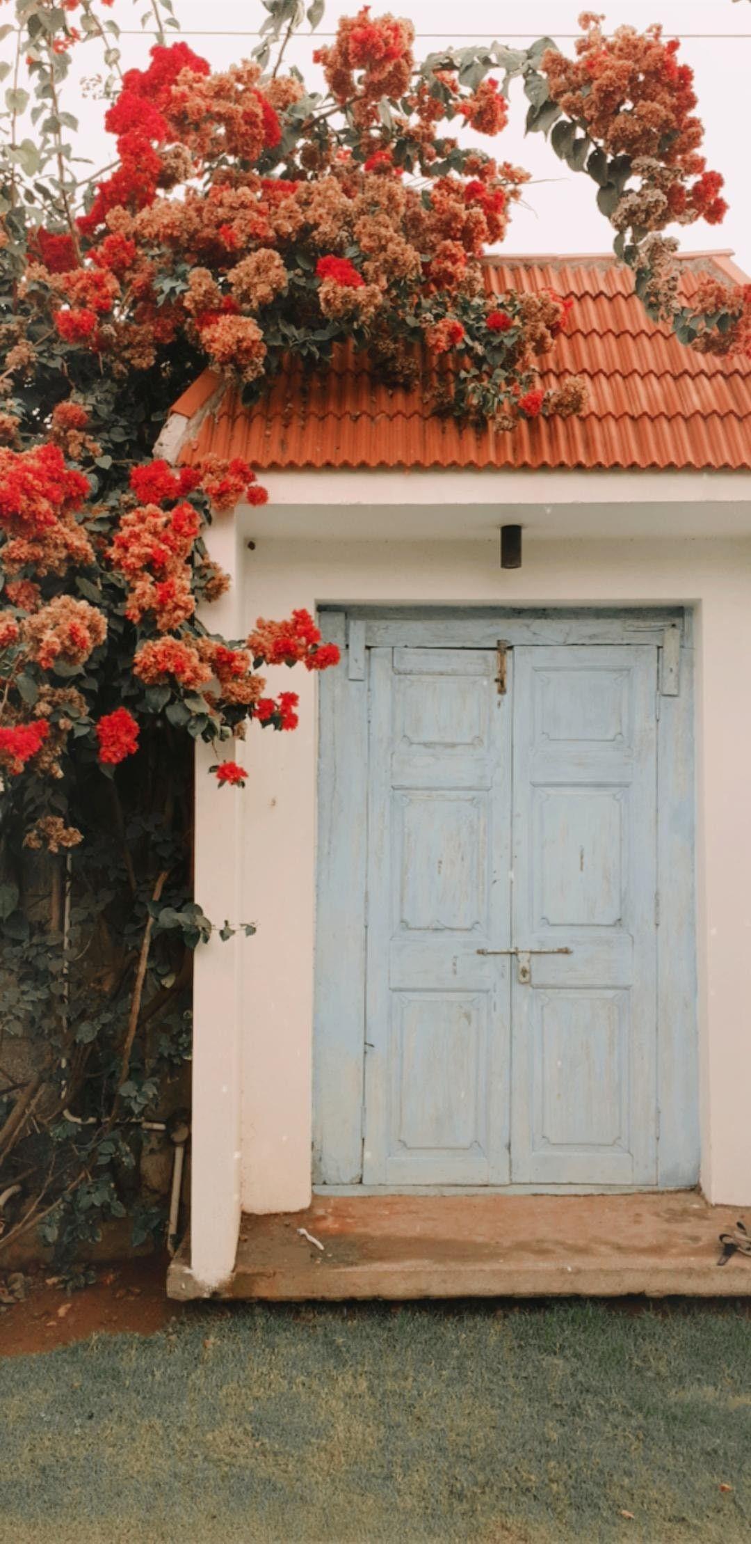1080x2218 Antique, aesthetic door wallpaper. Wallpaper, Outdoor decor, Decor