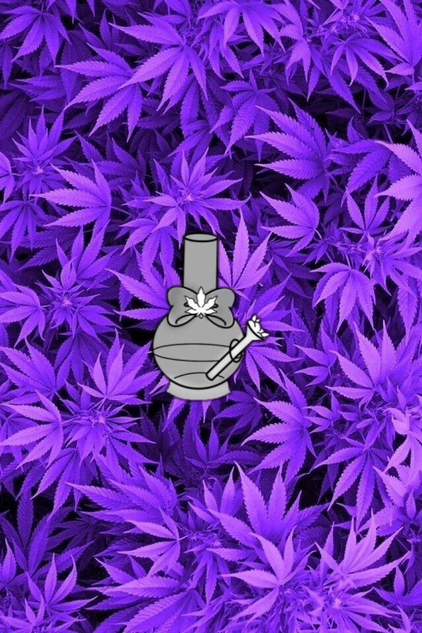 854x1280 Weed, Purple, And Marijuana Image Wallpaper iPhone Xr