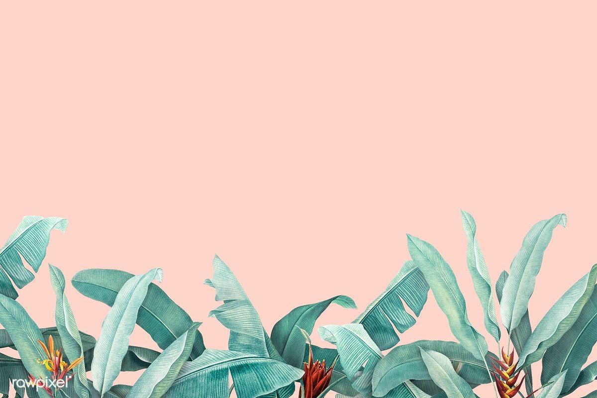 1200x800 Download premium illustration of Hand drawn tropical leaves on a pastel. Pastel background, Pastel color background, Pink wallpaper laptop
