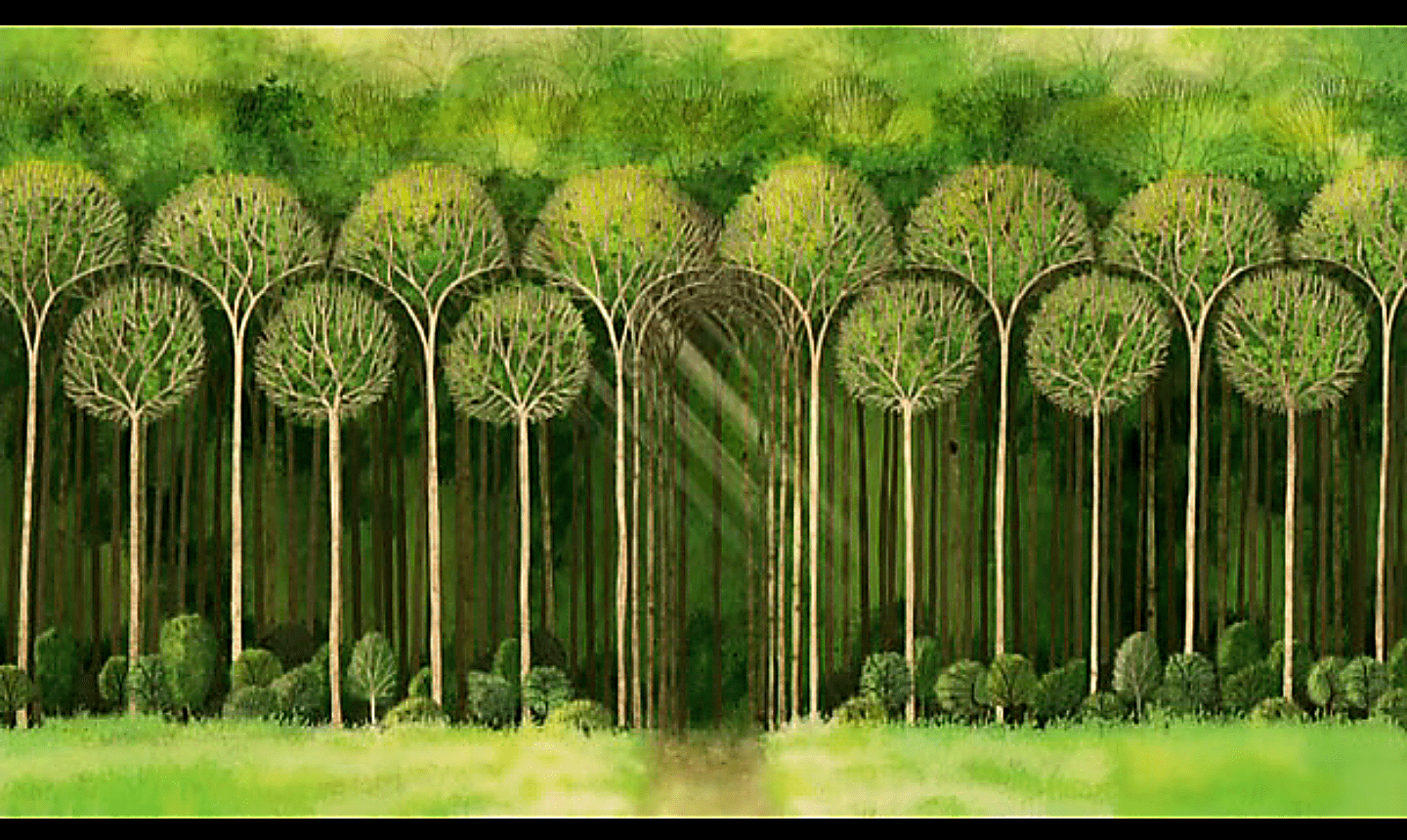 1440x860 Most viewed The Secret Of Kells wallpaperK Wallpaper