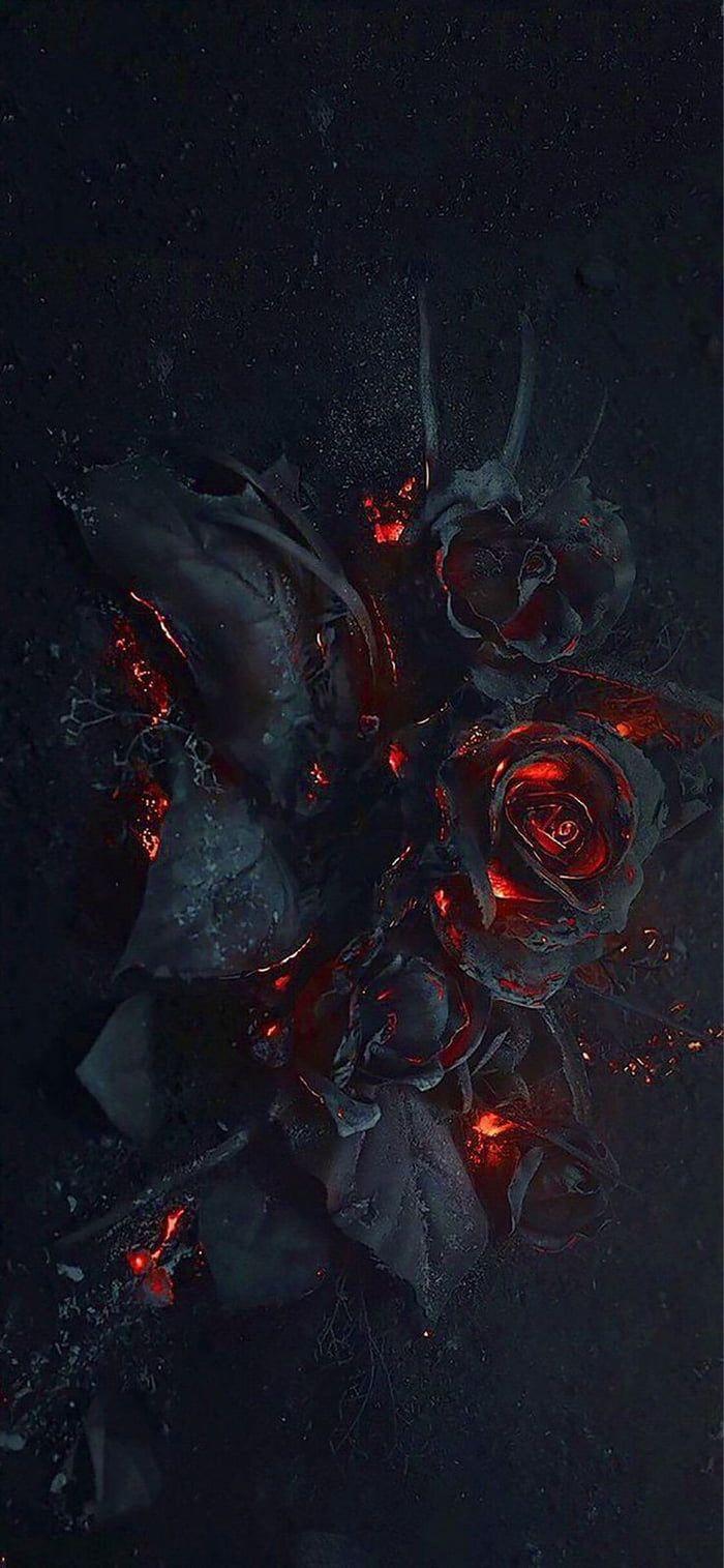 700x1515 Burn this love. Gothic wallpaper, Black roses wallpaper, Rose wallpaper