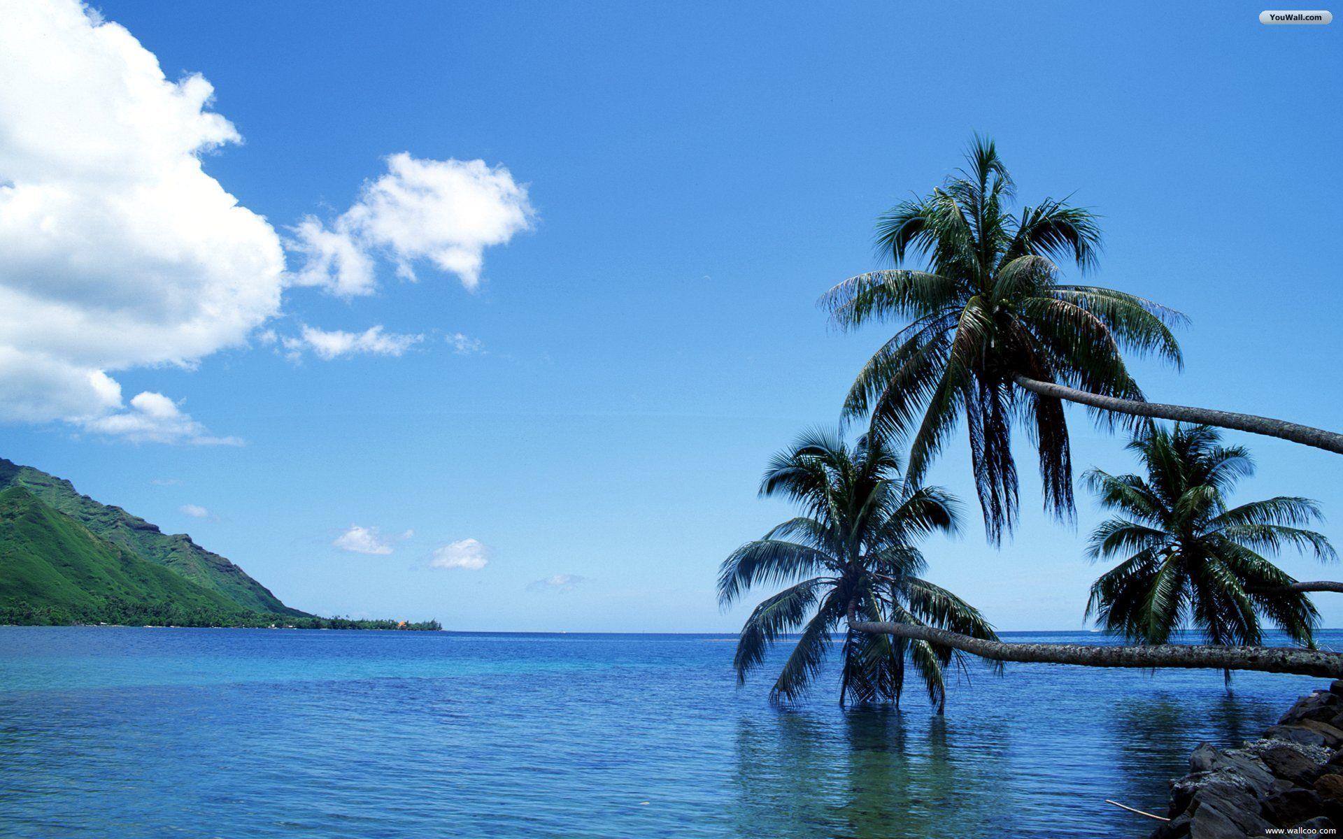1920x1200 Tahiti Wallpaper