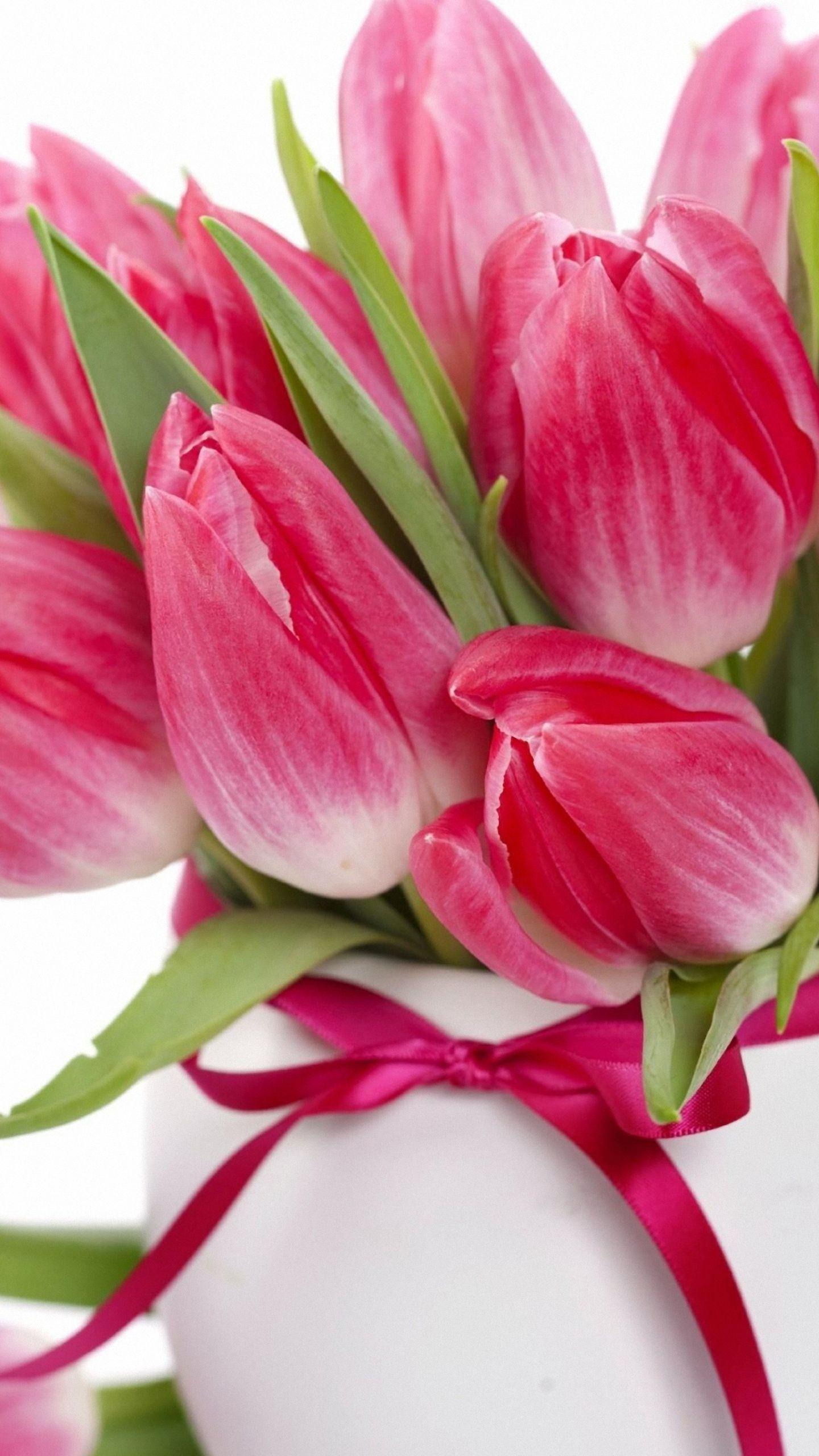 1440x2560 Hd Tulip Wallpaper For Mobile Wallpaper & Background Download