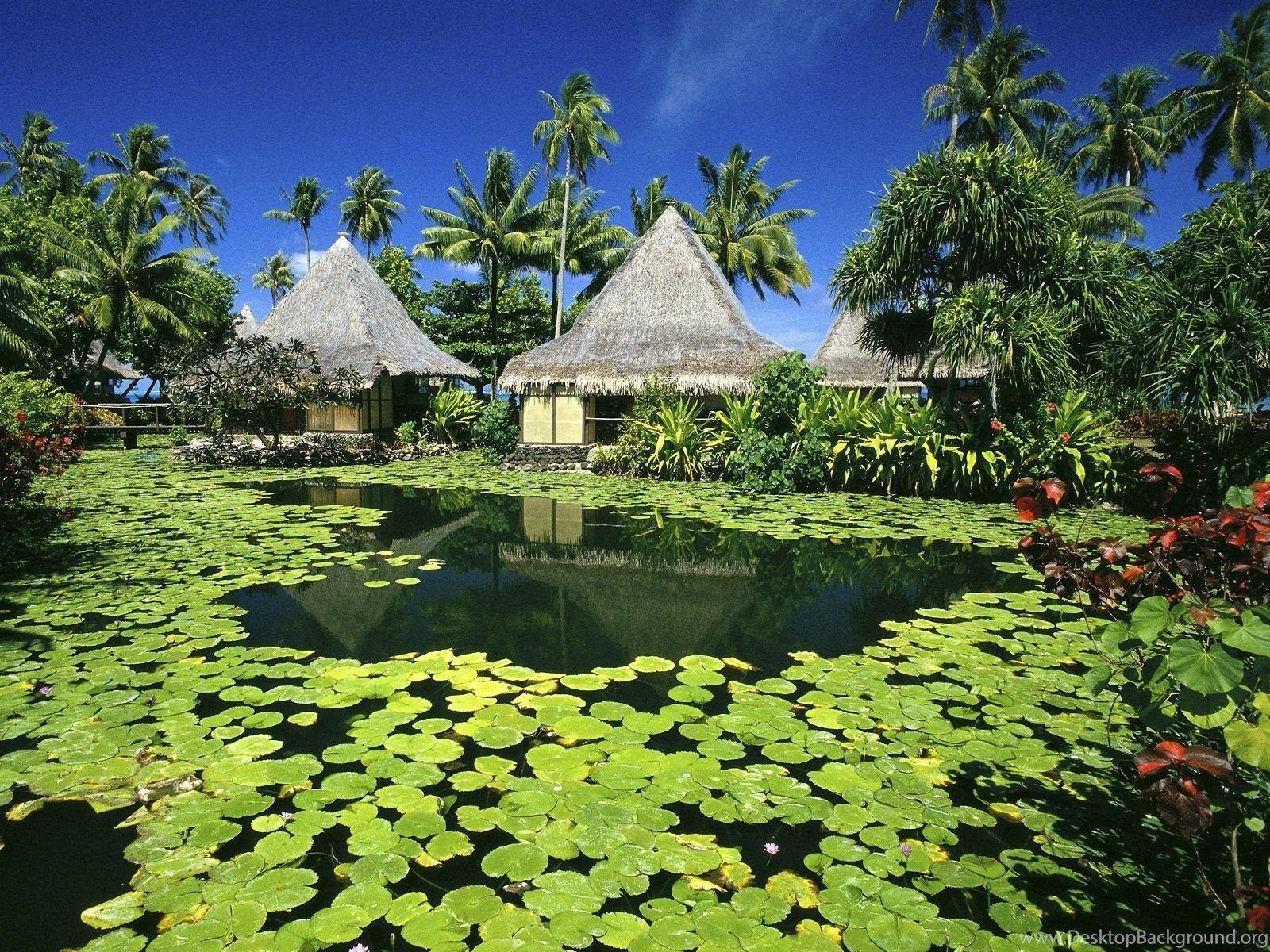 1600x1200 Tahiti HD Wallpaper And Background Desktop Background