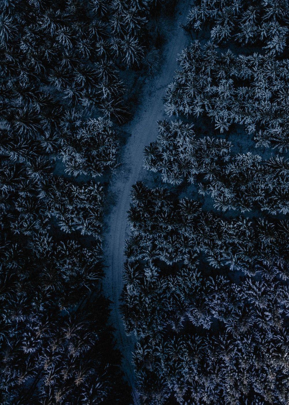 1000x1400 iPad Pro Wallpaper: Free HD Download [HQ]