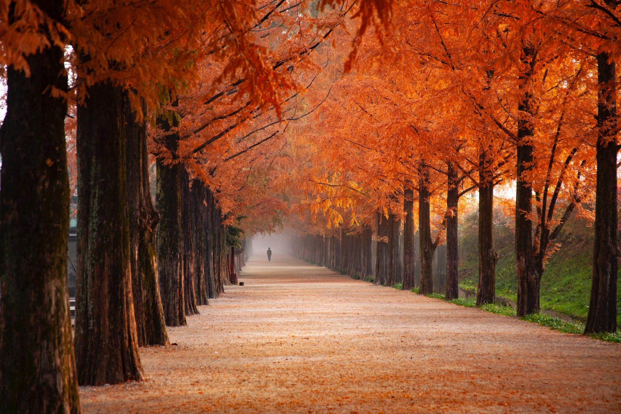 2048x1365 Beautiful and Cozy Fall Computer Background
