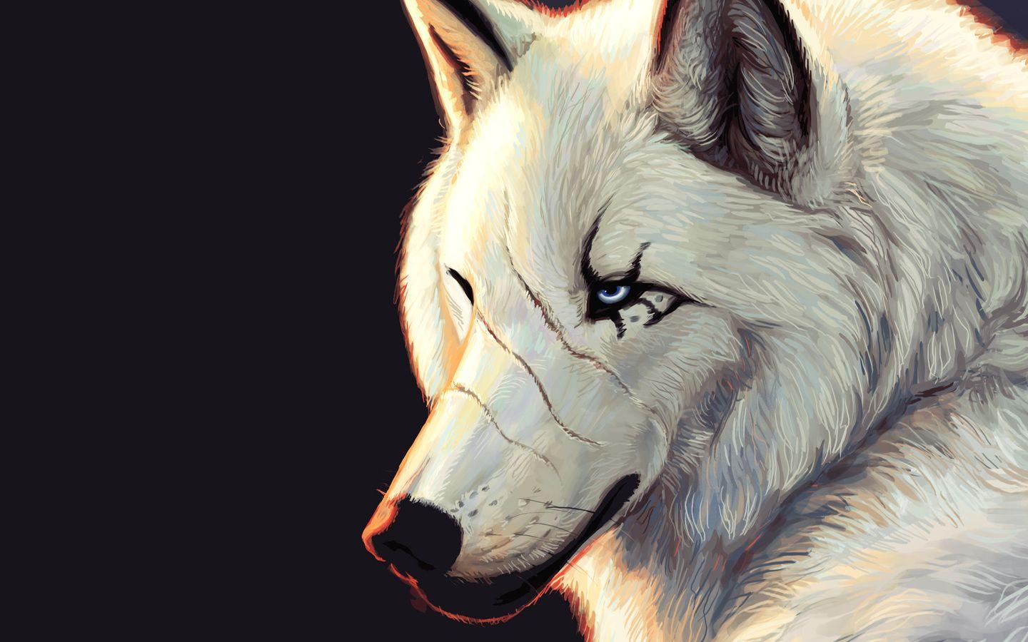 1440x900 blue eyes, white, scars, black background, wolf desktop wallpaper 34808