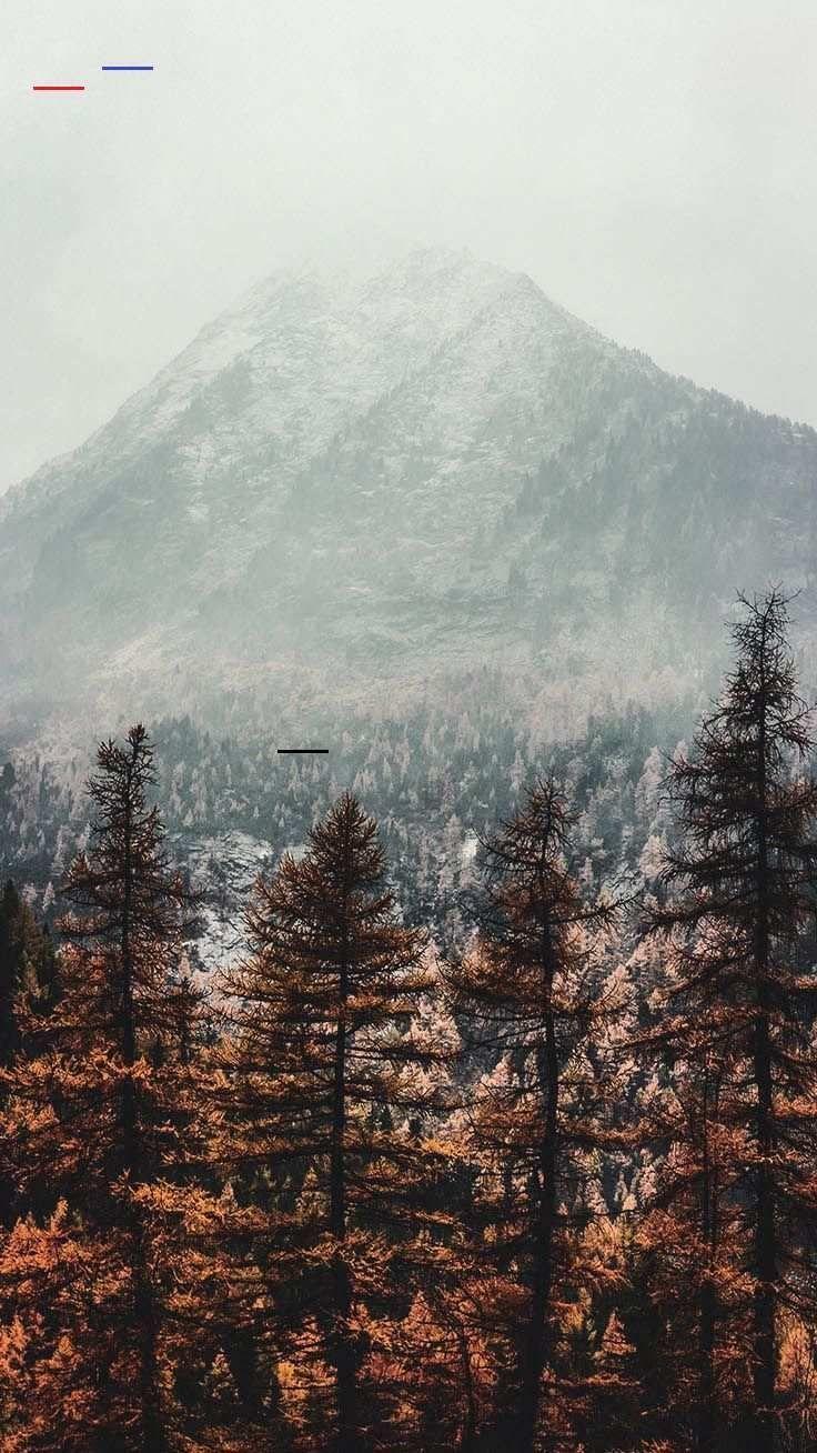 736x1308 Free Autumn Inspired iPhone 7 Plus Wallpaper. Preppy Wallpaper - #fallwallpaperiphone -. iPhone wallpaper winter, iPhone wallpaper fall, Cute fall wallpaper