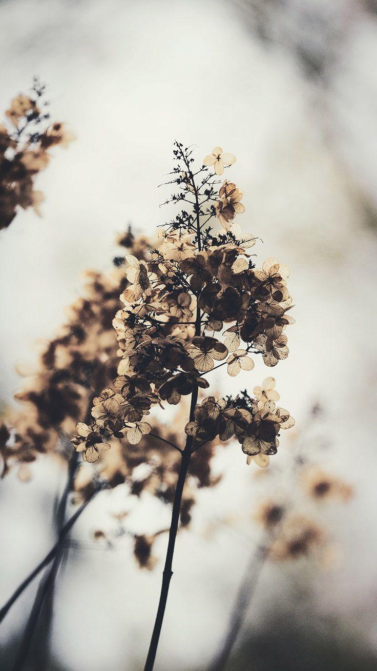 736x1308 Artsy Cozy Winter iPhone Wallpaper
