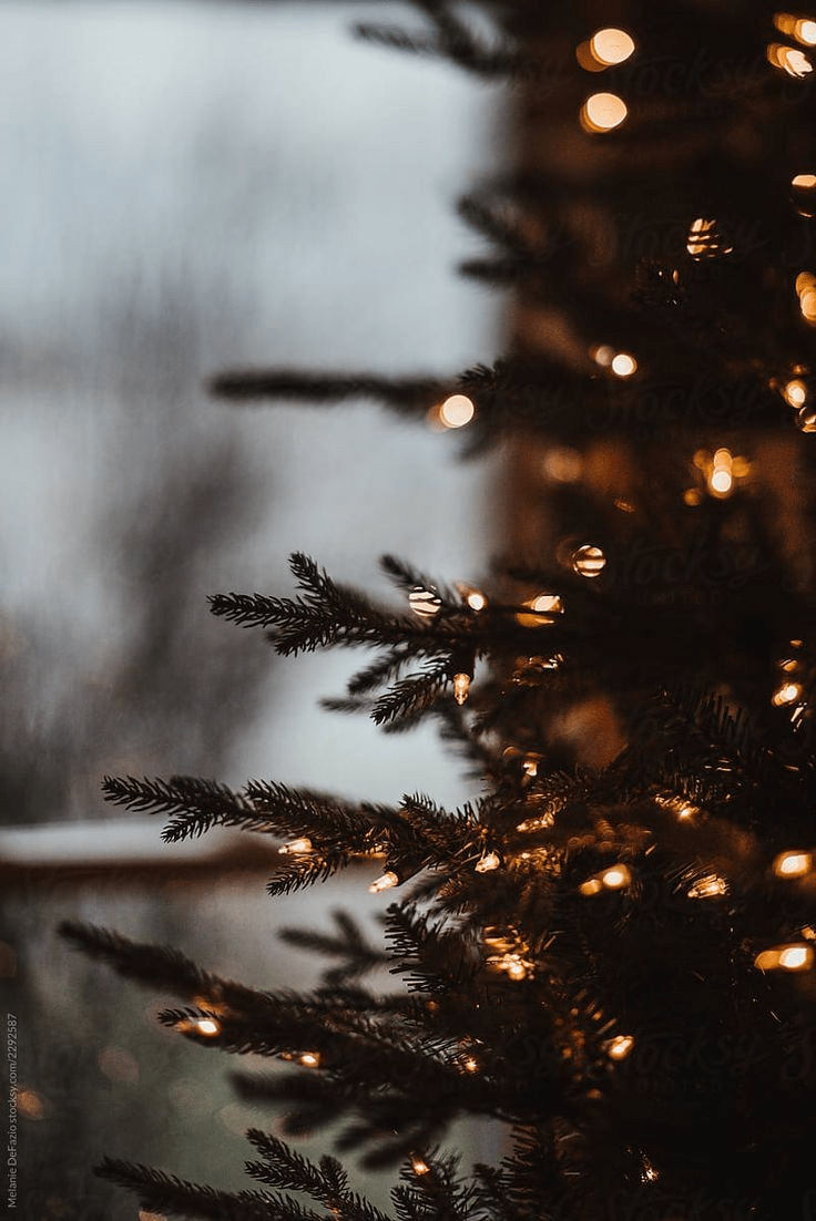 736x1102 cozy christmas morning uploaded by cozyseason. Christmas photography, Christmas wallpaper, Winter wallpaper