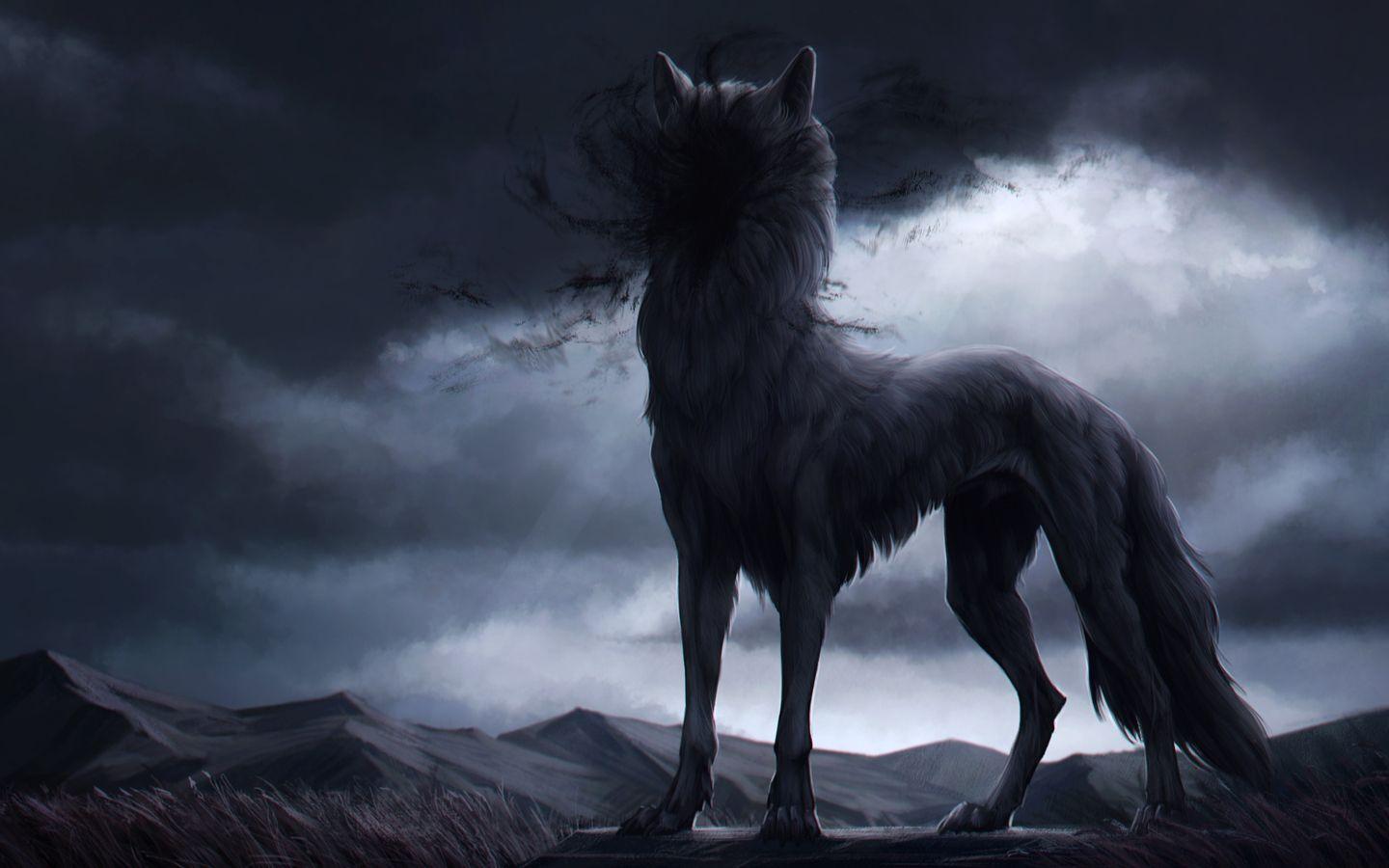 1440x900 Wolf In Shadow 4k 1440x900 Resolution HD 4k Wallpaper, Image, Background, Photo and Picture
