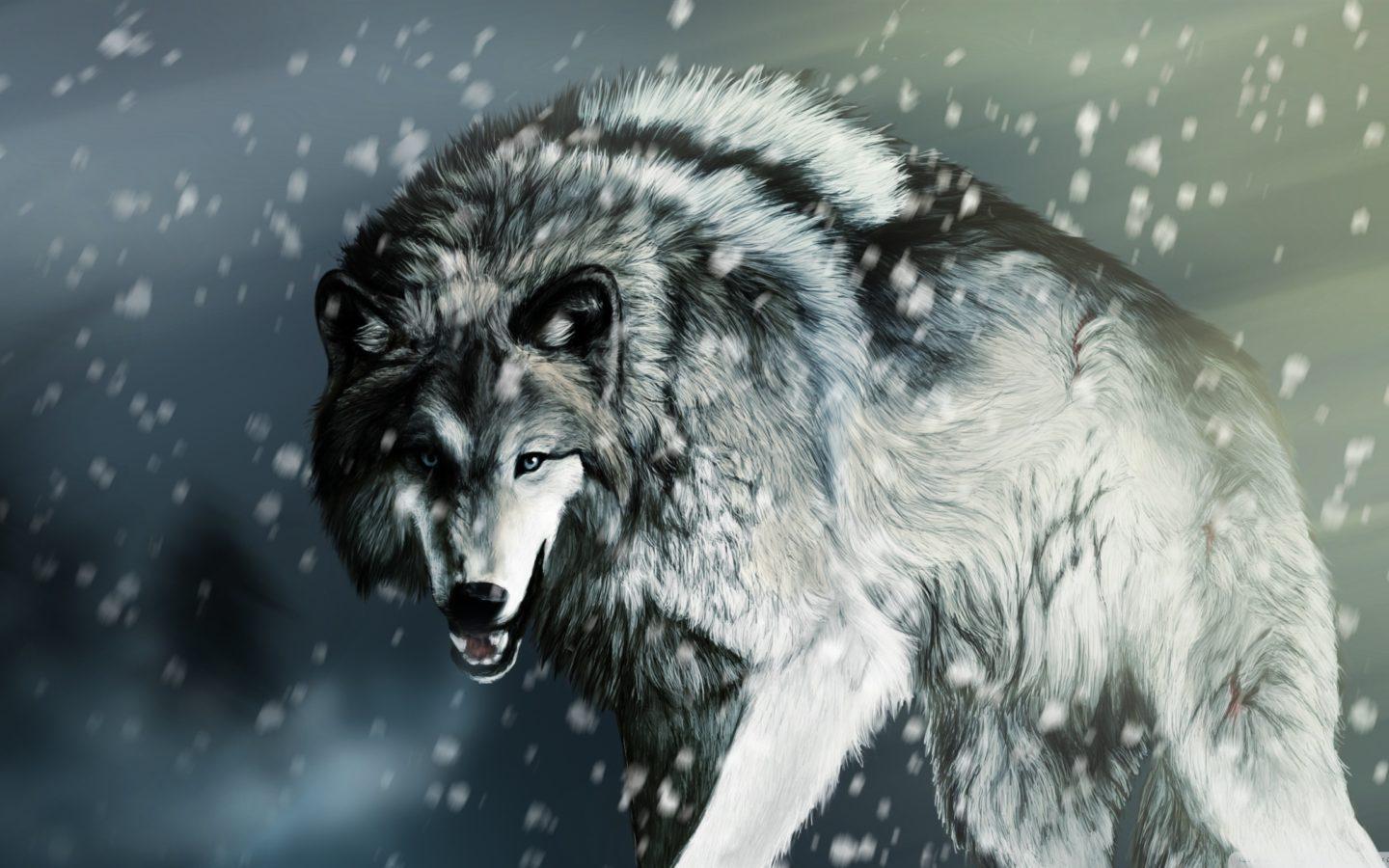 1440x900 Wolf HD desktop wallpaper