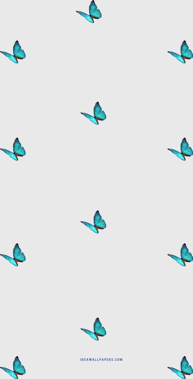 757x1485 Butterfly iphone wallpaper Wallpaper
