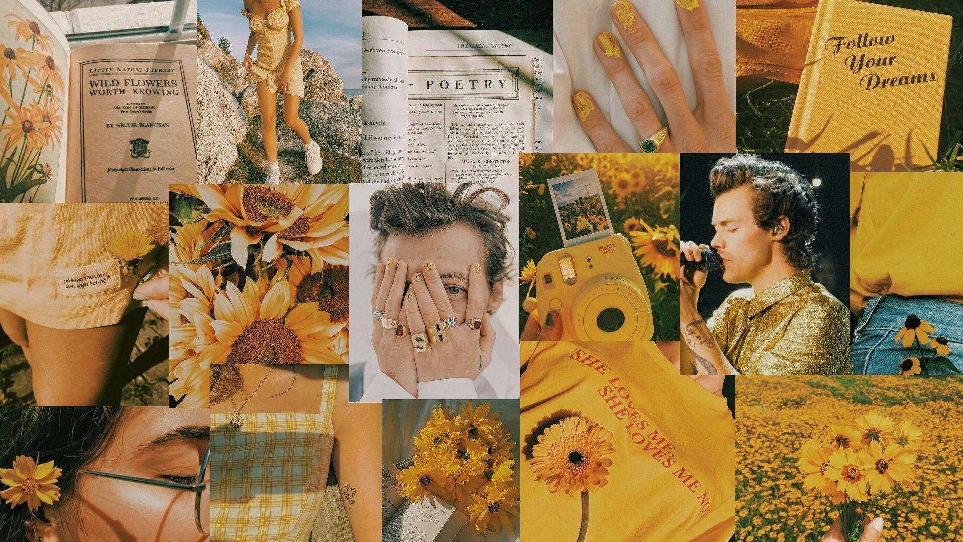 Harry Styles Aesthetic Collage Macbook Wallpaper
