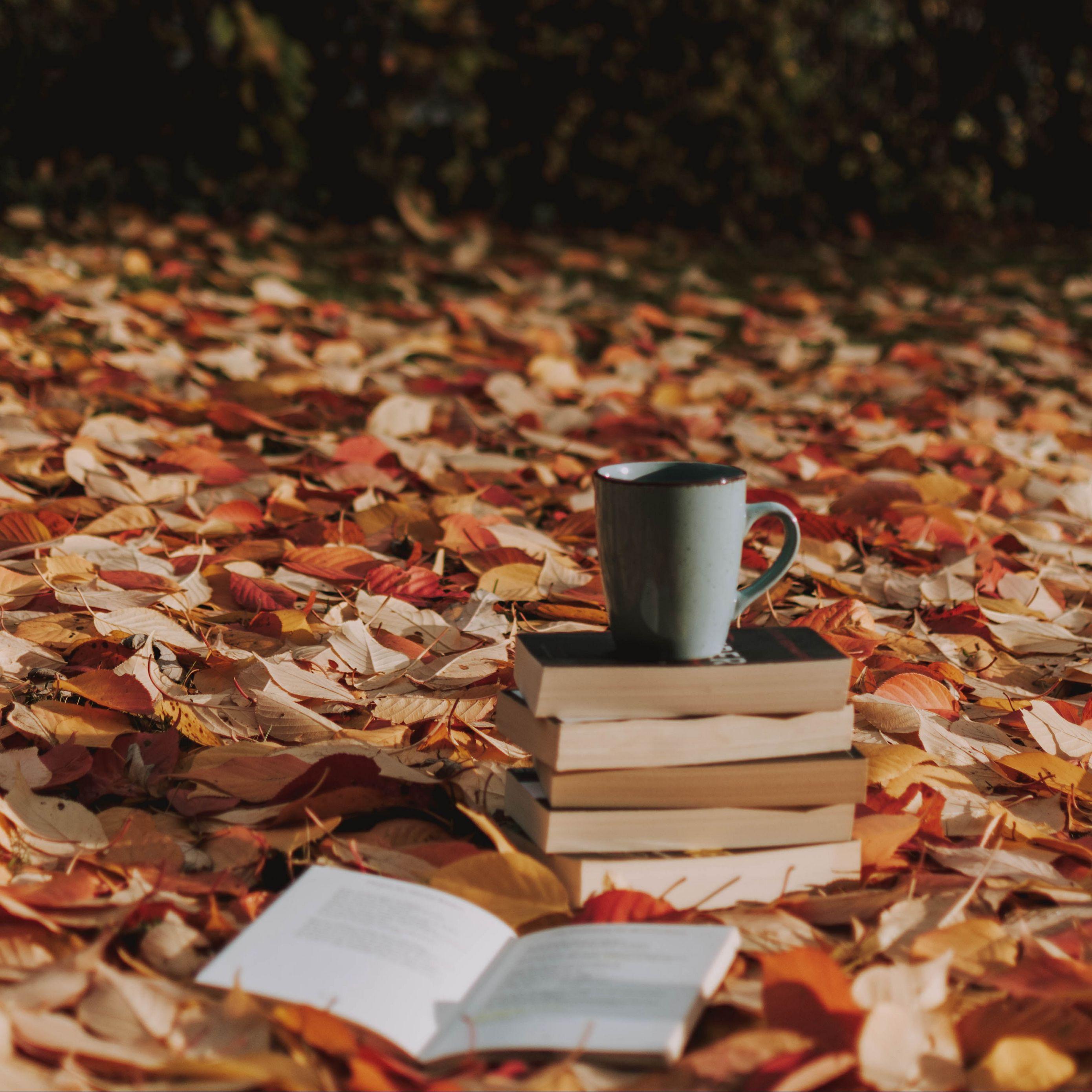 Autumn Books Wallpapers - Top Free Autumn Books Backgrounds -  WallpaperAccess