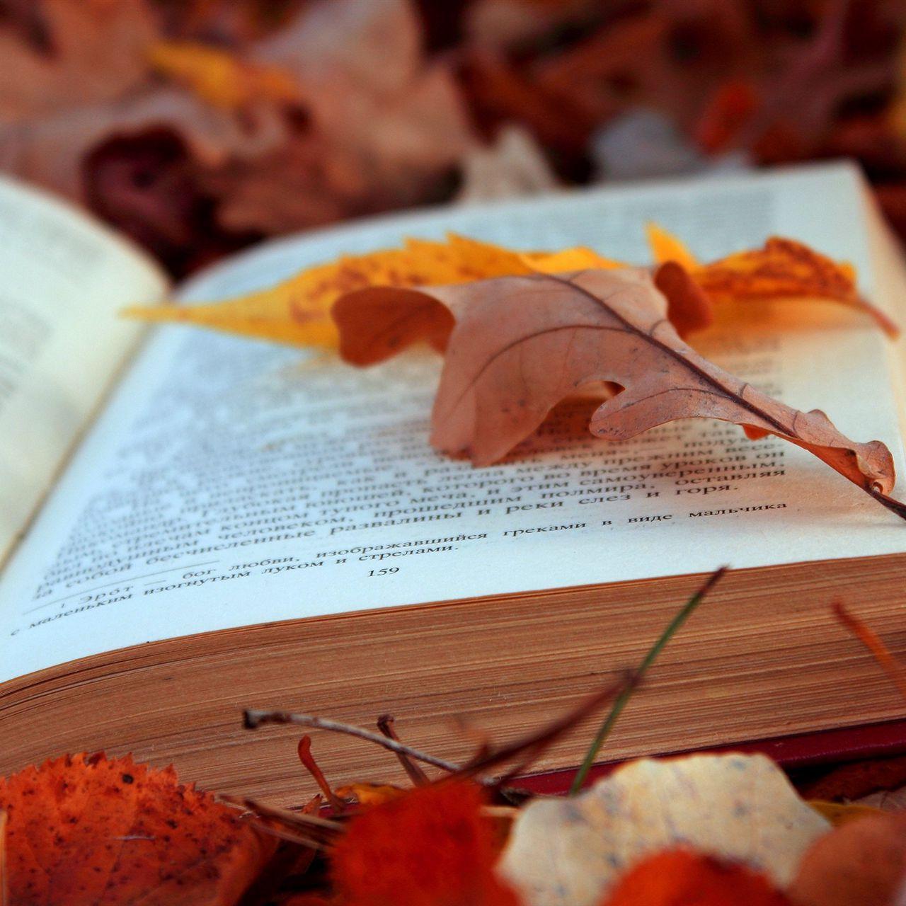 Autumn Books Wallpapers - Top Free Autumn Books Backgrounds ...
