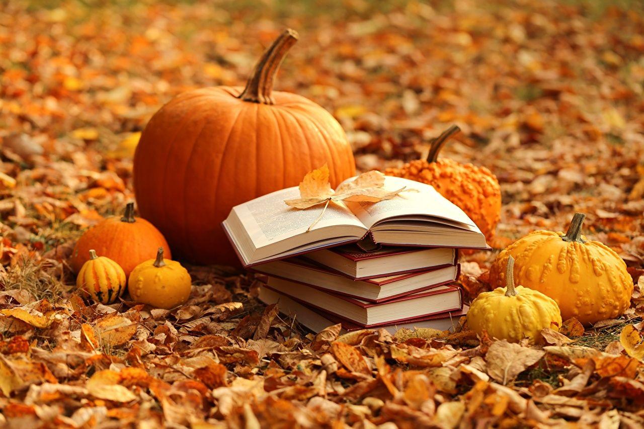 Autumn Books Wallpapers Top Free Autumn Books Backgrounds