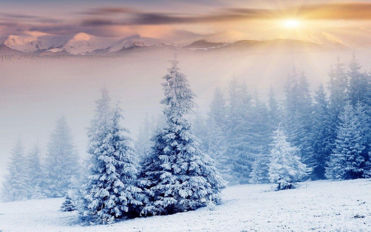 Winter MacBook Wallpapers - Top Free Winter MacBook Backgrounds