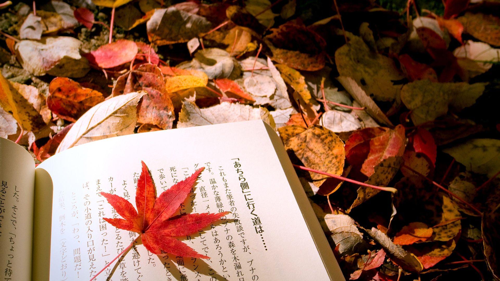 1920x1080 Wallpaper Autumn leaves Japanese book 1920x1440 HD Picture, Image