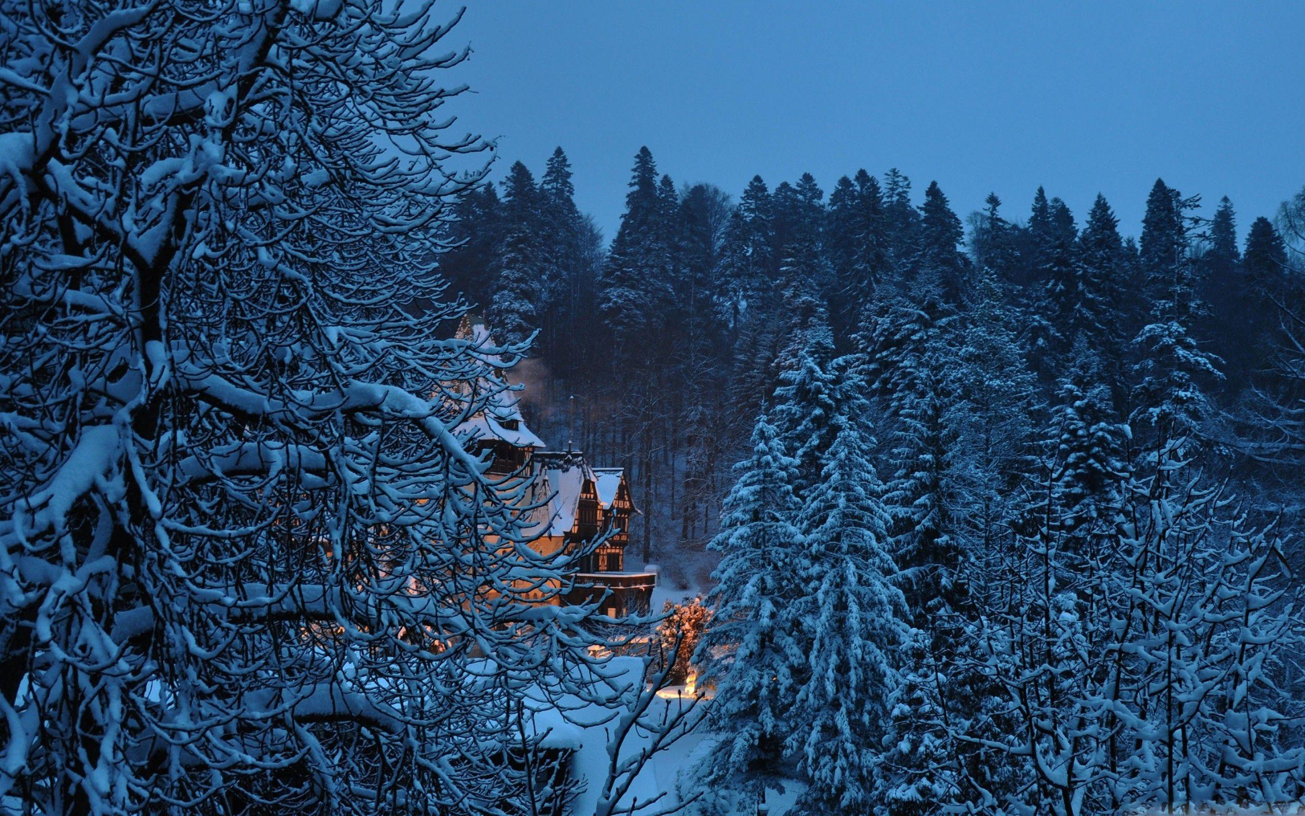 2560x1600 Winter Wallpaper for MacBook Pro .