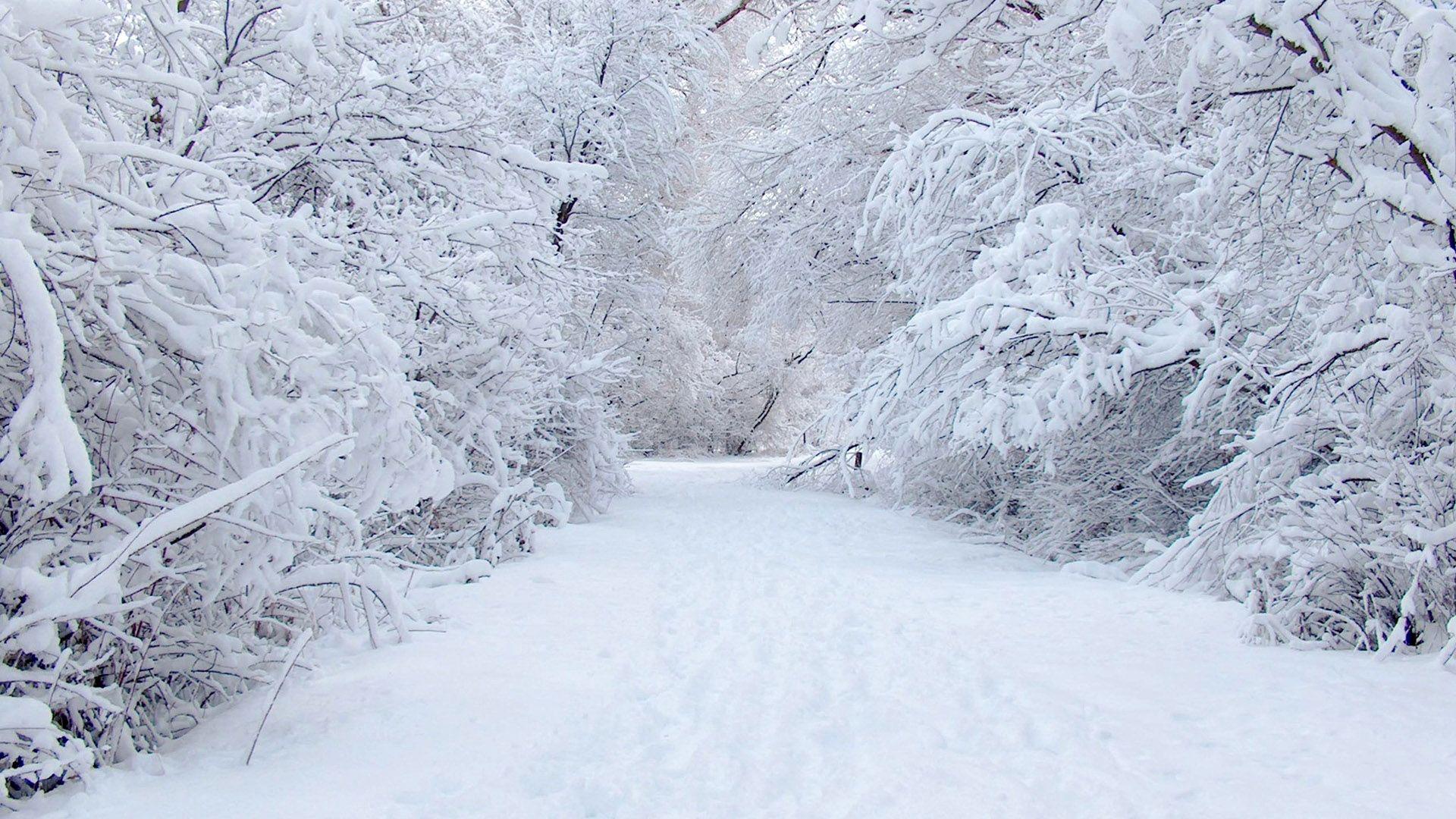 1920x1080 Mac Winter Wallpaper