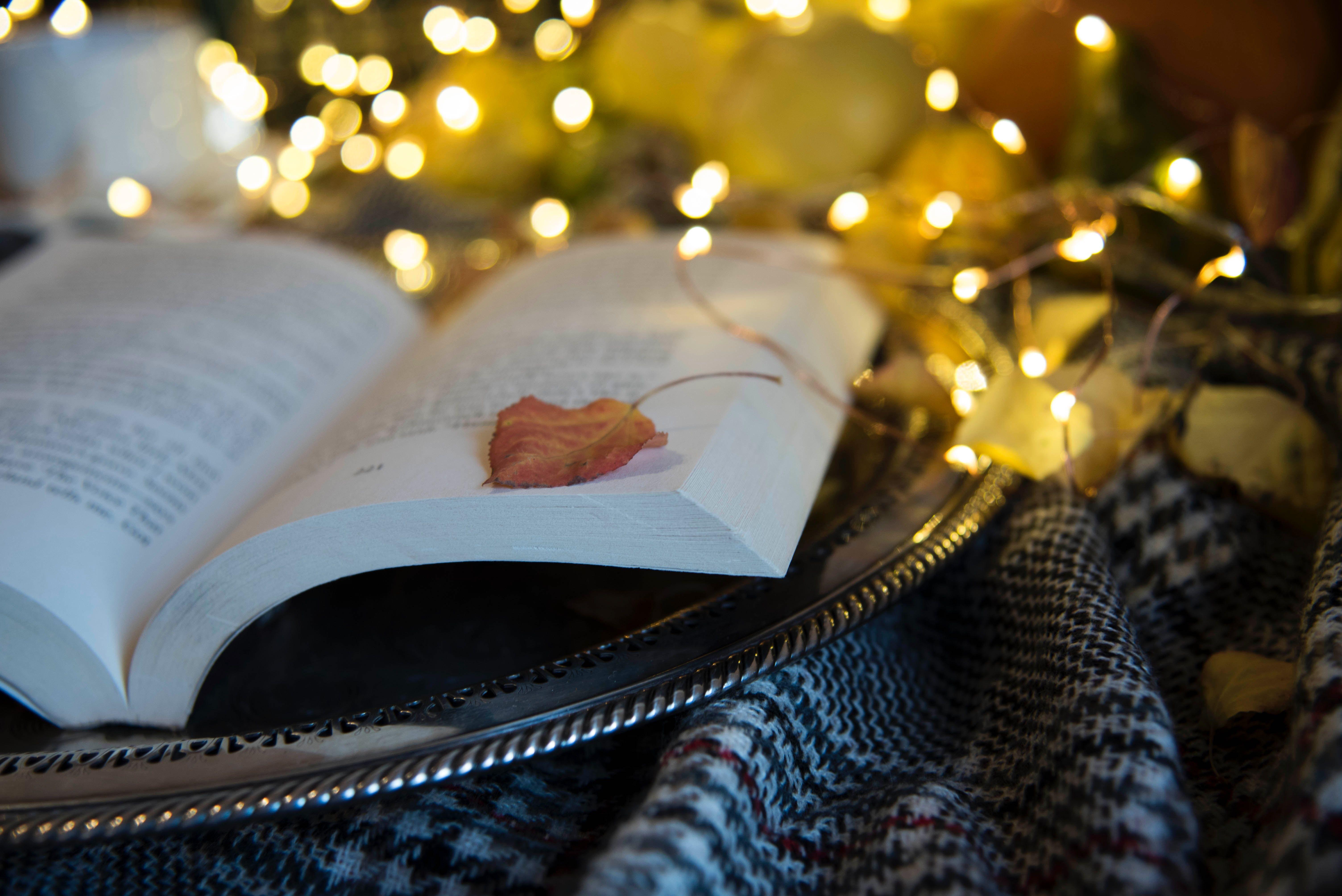 6016x4016 Free of autumn aesthetic, book aesthetic, books