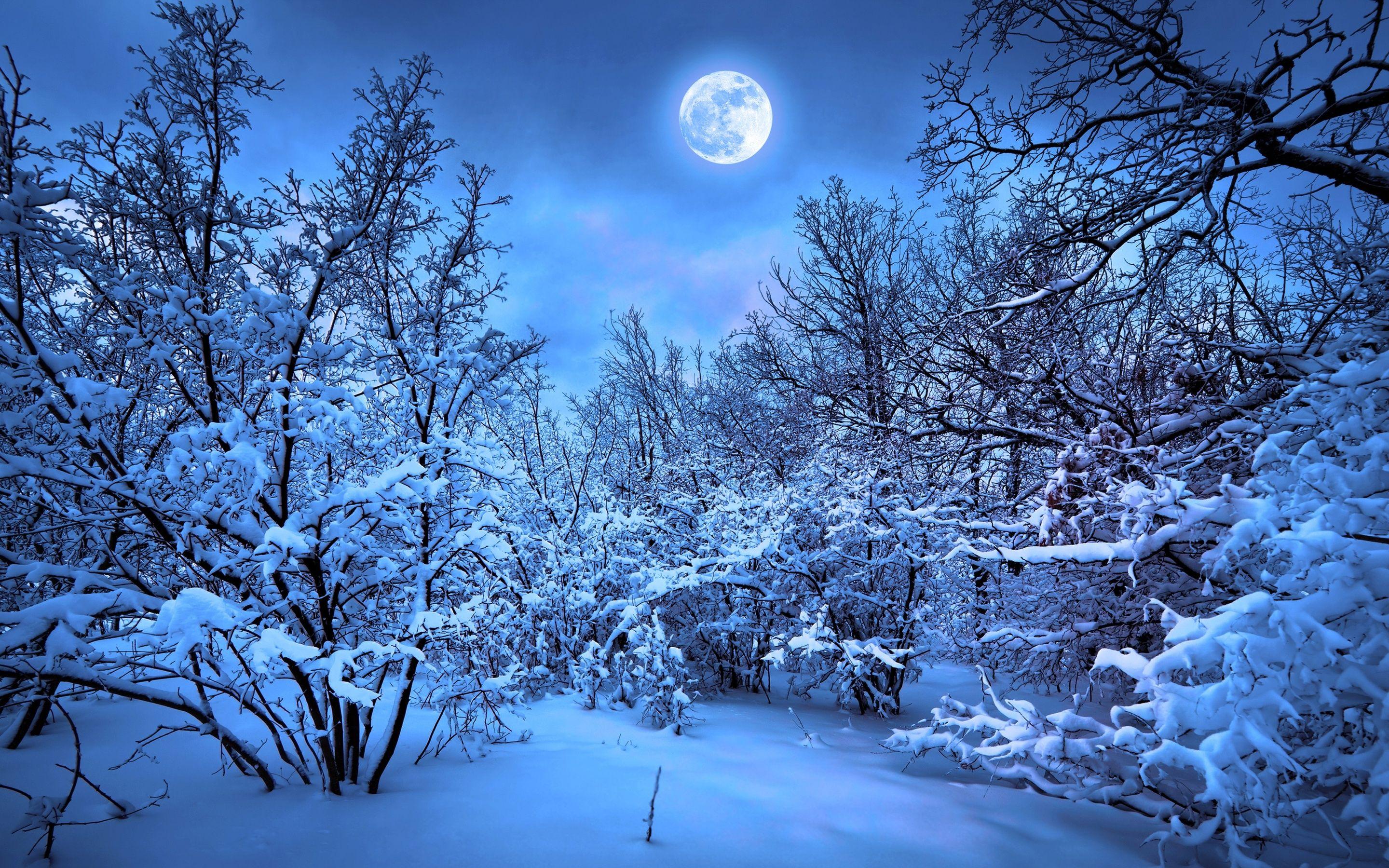 2880x1800 Winter Snow Nature 4k Macbook Pro Retina HD 4k Wallpaper, Image, Background, Photo and Picture
