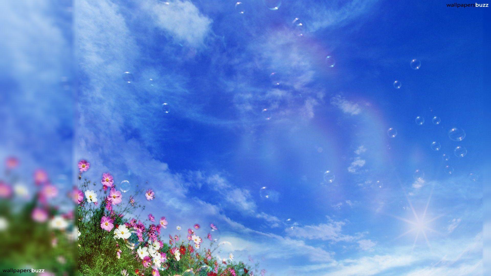 1920x1080 Summer Days Wallpaper