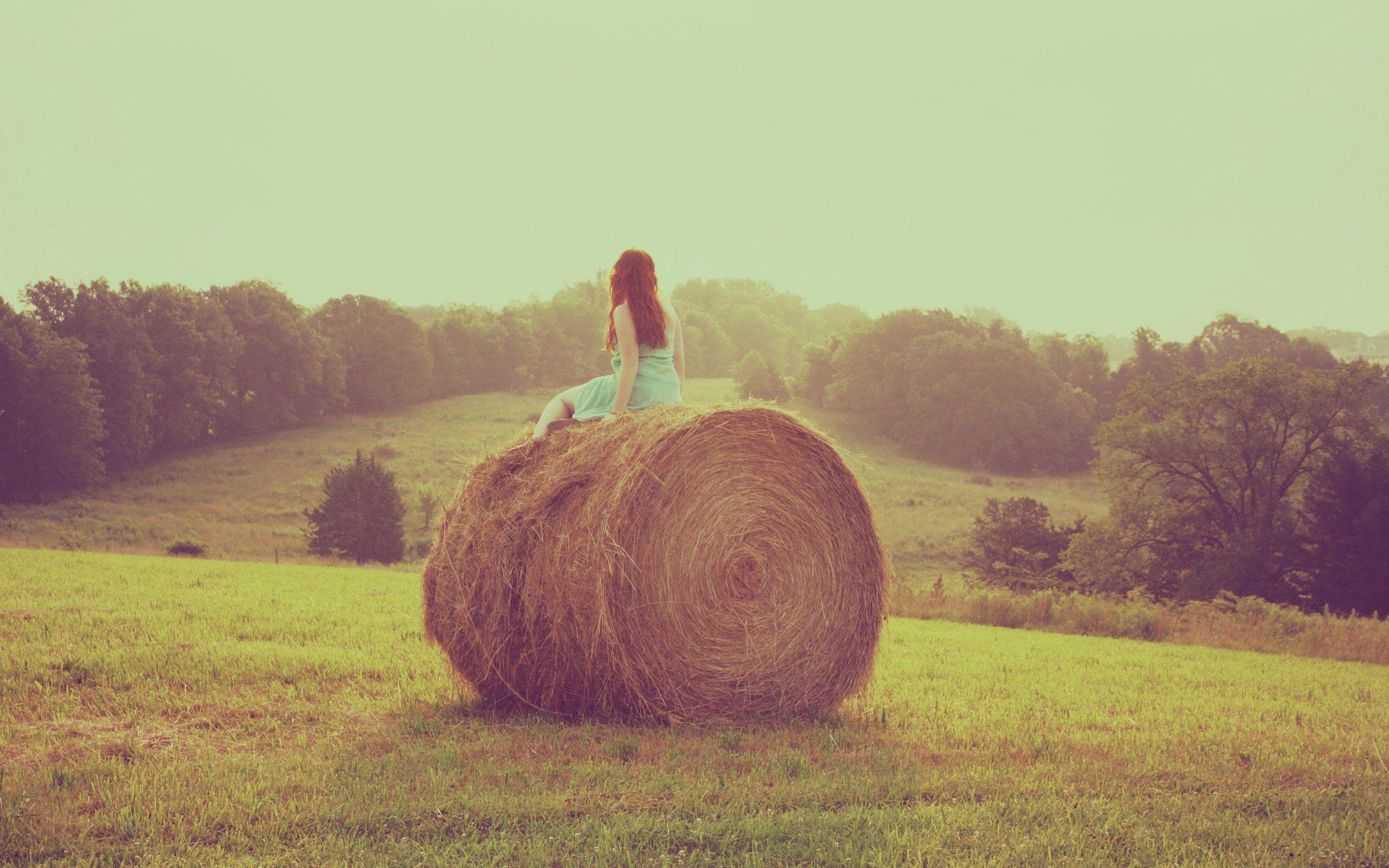 2560x1600 A Summer Day Wallpaper